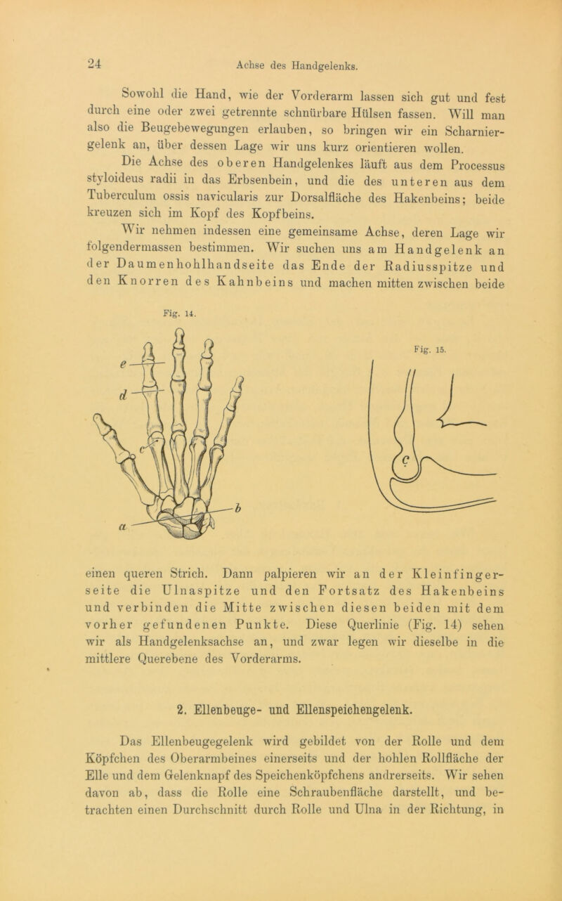 Sowohl die Hand, wie der Vorderarm lassen sich gut und fest durch eine oder zwei getrennte schnürbare Hülsen fassen. Will man also die Beugebewegungen erlauben, so bringen wir ein Scharnier- gelenk an, über dessen Lage wir uns kurz orientieren wollen. Die Achse des oberen Handgelenkes läuft aus dem Processus styloideus radii in das Erbsenbein, und die des unteren aus dem Tuberculum ossis navicularis zur Dorsalfläche des Hakenbeins; beide kreuzen sich im Kopf des Kopfbeins. Wir nehmen indessen eine gemeinsame Achse, deren Lage wir folgendermassen bestimmen. Wir suchen uns am Handgelenk an der Da umenhohlh and Seite das Ende der Radiusspitze und den Knorren des Kahnbeins und machen mitten zwischen beide Fig. 14. einen queren Strich. Dann palpieren wir an der Kleinfinger- seite die Ulnaspitze und den Fortsatz des Hakenbeins und verbinden die Mitte zwischen diesen beiden mit dem vorher gefundenen Punkte. Diese Querlinie (Fig. 14) sehen wir als Handgelenksachse an, und zwar legen wir dieselbe in die mittlere Querebene des Vorderarms. 2. Ellenbeuge- und Ellenspeichengeleiik. Das Ellenbeugegelenk wird gebildet von der Rolle und dem Köpfchen des Oberarmbeines einerseits und der hohlen Rollfläche der Elle und dem Gelenknapf des Speichenköpfchens andrerseits. Wir sehen davon ab, dass die Rolle eine Schraubenfläche darstellt, und be- trachten einen Durchschnitt durch Rolle und Ulna in der Richtung, in