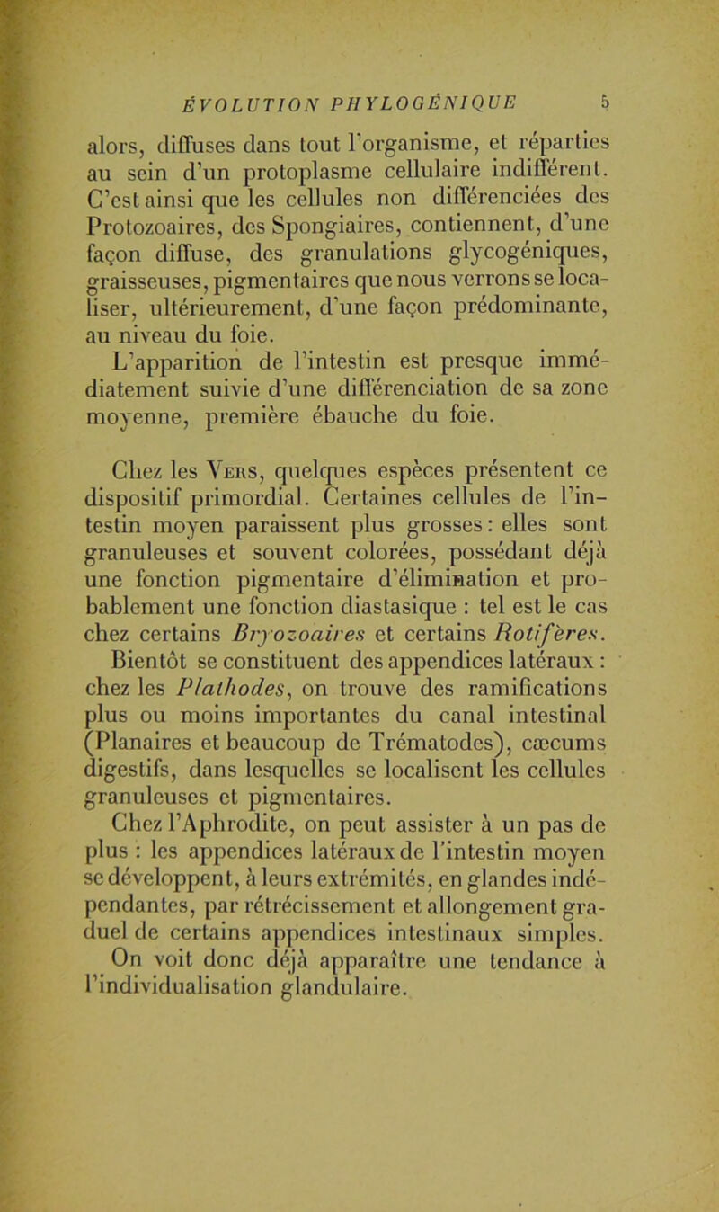 alors, diffuses dans tout l’organisme, et réparties au sein d’un protoplasme cellulaire indifférent. C’est ainsi que les cellules non différenciées des Protozoaires, des Spongiaires, contiennent, d’une façon diffuse, des granulations glycogéniques, graisseuses, pigmentaires que nous verrons se loca- liser, ultérieurement, d’une façon prédominante, au niveau du foie. L’apparition de l’intestin est presque immé- diatement suivie d’une différenciation de sa zone moyenne, première ébauche du foie. Chez les Vers, quelques espèces présentent ce dispositif primordial. Certaines cellules de l’in- testin moyen paraissent plus grosses: elles sont granuleuses et souvent colorées, possédant déjà une fonction pigmentaire d’élimination et pro- bablement une fonction diastasique : tel est le cas chez certains Bry ozoaires et certains Bientôt se constituent des appendices latéraux : chez les Plalhodes^ on trouve des ramifications plus ou moins importantes du canal intestinal (Planaires et beaucoup de Trématodes), cæcums digestifs, dans lescpielles se localisent les cellules granuleuses et pigmentaires. Chez l’Apbrodite, on peut assister à un pas de plus : les appendices latéi’auxde l’intestin moyen se développent, à leurs extrémités, en glandes indé- pendantes, par rétrécissement et allongement gra- duel de certains appendices intestinaux simples. On voit donc déjà apparaître une tendance à l’individualisation glandulaire.