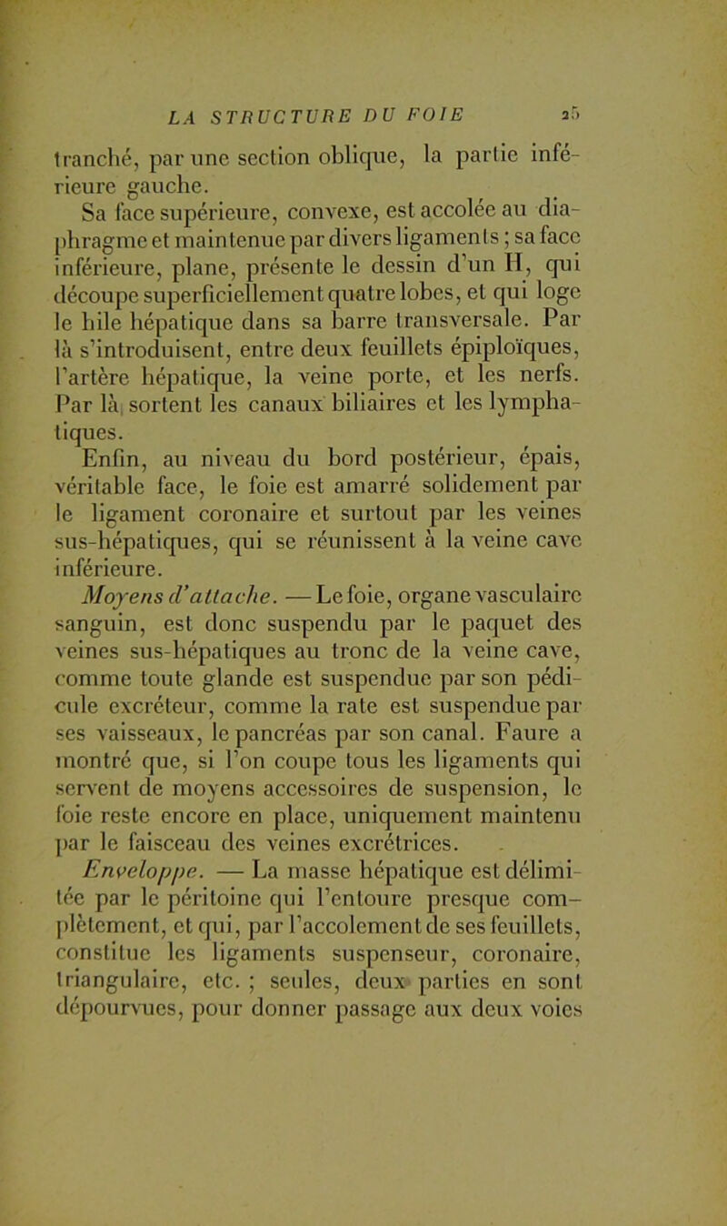 tranché, par une section oblique, la partie infé- rieure gauche. Sa face supérieure, convexe, estaccoleeau dia- [)hragme et maintenue par divers ligaments ; sa face inférieure, plane, présente le dessin d’un H, qui découpe superficiellement quatre lobes, et cjui loge le hile hépatique dans sa barre transversale. Par là s’introduisent, entre deux feuillets épiploïques, l’artère hépatique, la veine porte, et les nerfs. Par lài sortent les canaux biliaires et les lympha- tiques. Enfin, au niveau du bord postérieur, épais, véritable face, le foie est amarré solidement par le ligament coronaire et surtout par les veines sus-hépatiques, qui se réunissent à la veine cave inférieure. Moyens d’attache. —Le foie, organe vasculaire sanguin, est donc suspendu par le paquet des veines sus-hépatiques au tronc de la veine cave, comme toute glande est suspendue par son pédi- cule excréteur, comme la rate est suspendue par ses vaisseaux, le pancréas par son canal. Faure a montré que, si l’on coupe tous les ligaments c[ui servent de moyens accessoires de suspension, le foie reste encore en place, uniquement maintenu par le faisceau des veines excrétrices. En^>elopi)e. — La masse hépatique est délimi- tée par le péritoine qui l’entoure presque com- plètement, et qui, par l’accolementde ses feuillets, constitue les ligaments suspenseur, coronaire, triangulaire, etc.; seules, deux parties en sont dépourvues, pour donner passage aux deux voies