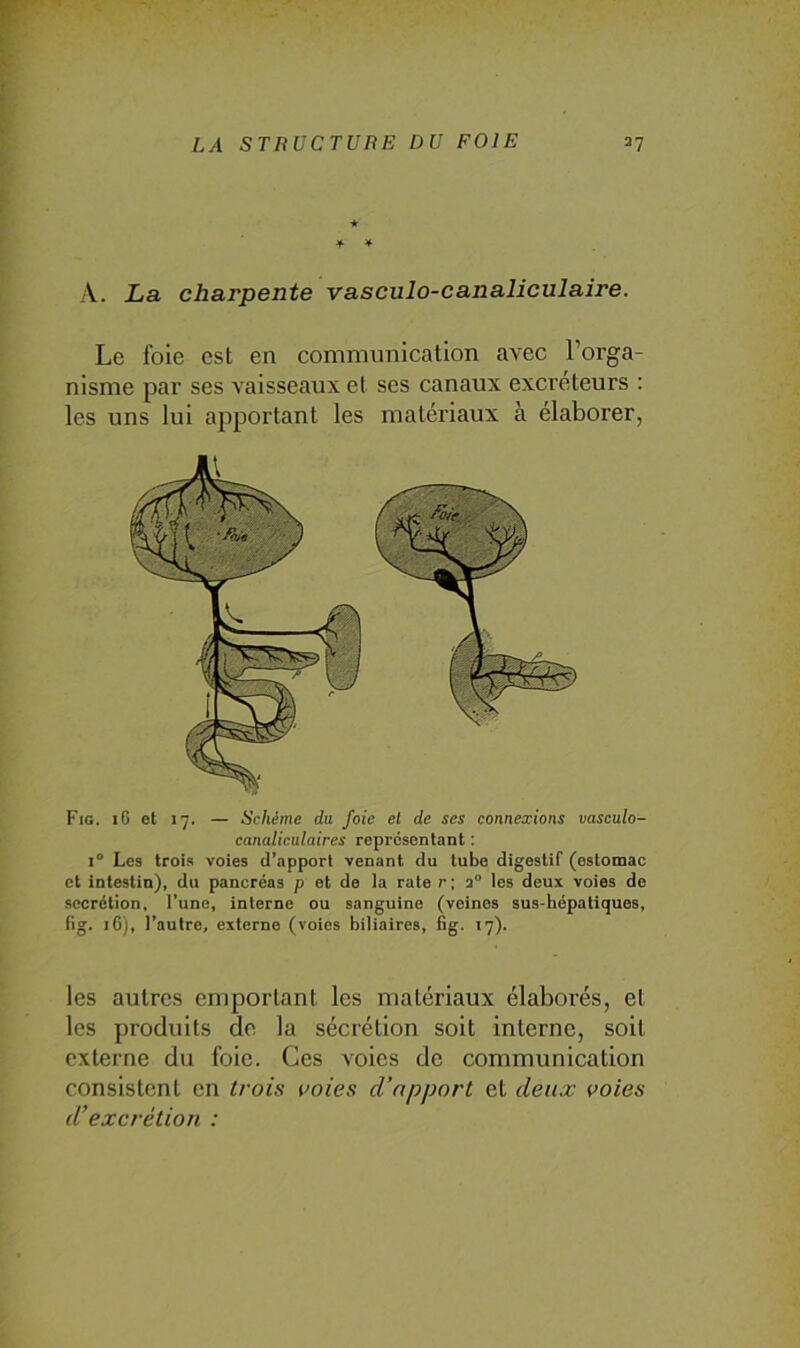 ■* * * A. La charpente vasculo-canaliculaire. Le foie est en communication avec l’orga- nisme par ses vaisseaux et ses canaux excréteurs : les uns lui apportant les matériaux à élaborer, Fig. i6 et 17. — Schème du foie et de ses connexions vasculo- canaliculaires représentant : j° Les trois voies d’apport venant du tube digestif (estomac et intestin), du pancréas p et de la rate r ; a° les deux voies de secrétion, l’une, interne ou sanguine (veines sus-hépatiques, fig. 16), l’autre, externe (voies biliaires, fig. 17). les autres emportant les matériaux élaborés, et les produits de la sécrétion soit interne, soit externe du foie. Ces voies de communication consistent en trois voies d’apport et deux voies d’excrétion :