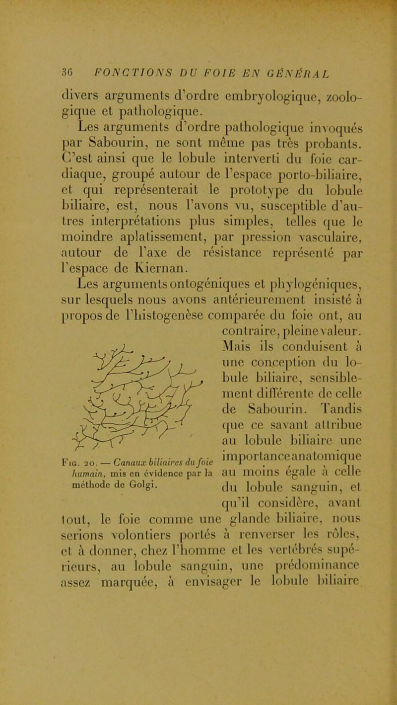 divers arguments d’ordre embryologique, zoolo- gique et pathologique. Les arguments d’ordre pathologique invoqués par Sabourin, ne sont même pas très probants. C’est ainsi que le lobule interverti du foie car- diaque, groupé autour de l’espace porto-biliaire, et qui représenterait le prototype du lobule biliaire, est, nous l’avons vu, susceptible d’au- tres intei'prétations plus simples, telles que le moindre aplatissement, par pression vasculaire, autour de l’axe de résistance représenté par l’espace de Kiernan. Les argumentsontogéniques et phylogéniques, sur lesquels nous avons antérieurement Insisté à [)i’opos de riiistogenèse comparée du l'oie ont, au contraire, pleine valeur. Mais ils conriuisent à une corrceplion du lo- bule biliaire, sensible- ment dilTérente de celle de Sabourin. Tandis (jue ce savant allribue au lobule biliaire une métliode de Golgi. q,j lobule saiiguin, et qu’il considère, avant tout, le foie comme une glande biliaire, nous serions volontiers ])ortés à renverser les rôles, et à donner, chez l’homme et les vertébrés supé- rieurs, au lobide sanguin, une |)rédominance assez marquée. à envisager le lobule biliaire