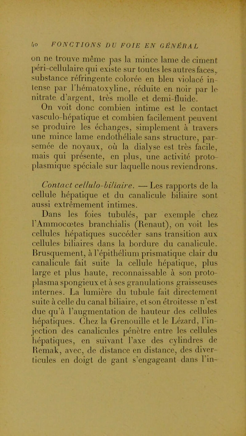on ne trouve même pas la mince lame de ciment |)cri-cellulaire qui existe sur toutes les autres faces^ substance réfringente colorée en bleu violacé in- lense par l’iiématoxyline, réduite en noir par le nitrate d’argent, très molle et demi-fluide. On voit donc combien intime est le contact vasculo-liépatique et combien facilement peuvent SC produire les échanges, simplement à IraA'er.s une mince lame endothéliale sans structure, par- semée de noyaux, où la dialyse est très facile, mais qui présente, en plus, une activité proto- plasmique spéciale sur laquelle nous reviendrons. Contact cellulo-hiHaire. — Les rapports de la cellule hépatique et du canalicule biliaire sont aussi extrêmement intimes. Dans les foies tubulés, par exemple chez. l’Ammocœtes branchialis (Renaut), on voit les cellules hépatiques succéder sans transition aux cellules biliaires dans la bordure du canalicule. Brusquement, à l’épithélium prismatique clair du canalicule fait suite la cellule hépatique, plus large et plus haute, reconnaissable à son proto- plasma spongieux et à ses granulations graisseuses internes. La lumière du tubule lait directement suite à celle du canal biliaire, et son étroitesse n’est due qu’à l’augmentation de hauteur des cellules hépatiques. Chez la Grenouille et le Lézard, l’in- jection des canaliculcs pénètre entre les cellules li(;patiques, en suivant l’axe des cylindres de Bemak, avec, de distance en distance, des diver- ticules en doigt de gant s’engageant dans Fin-