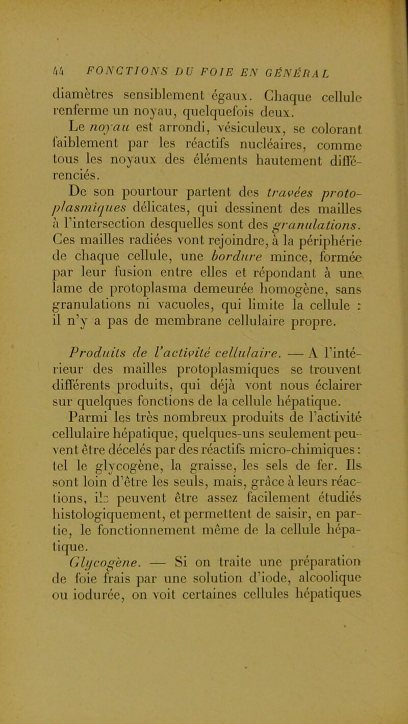 diamètres sensiblement égaux. Cliaque cellule renferme un noyau, quelquefois deux. Le noyau est arrondi, vésiculeux, se colorant l'aiblement par les réactifs nucléaires, comme tous les noyaux des éléments bautement diffé- renciés. De son pourtour partent des travées proto- plasmiques délicates, qui dessinent des mailles à l’intersection desquelles sont des granulations. Ces mailles radiées vont rejoindre, à la périphérie de chaque cellule, une bordure mince, formée l)ar leur fusion entre elles et répondant à une lame de protoplasma demeurée homogène, sans granulations ni vacuoles, qui limite la cellule : il n’y a pas de membrane cellulaire propre. Produits de l’activité cellulaire. — A l’inté- rieur des mailles protoplasmiques se trouvent différents produits, qui déjà x^ont nous éclairer sur quelques fonctions de la cellule hépatique. Parmi les très nombreux produits de l’activité cellulaire hépatique, quelques-uns seulement peu- vent être décelés par des réactifs micro-chimiques : tel le glycogène, la graisse, les sels de fer. Ils sont loin d’être les seuls, mais, grâce à leurs réac- tions, ilc peuvent être assez facilement étudiés Idstologlquemenl, et permettent de saisir, en par- tie, le fonctionnement même de la cellule hépa- tique. Glucogène. — Si on traite une préparation de foie frais par une solution d’iode, alcoolique ou iodurée, on voit certaines cellules hépatiques