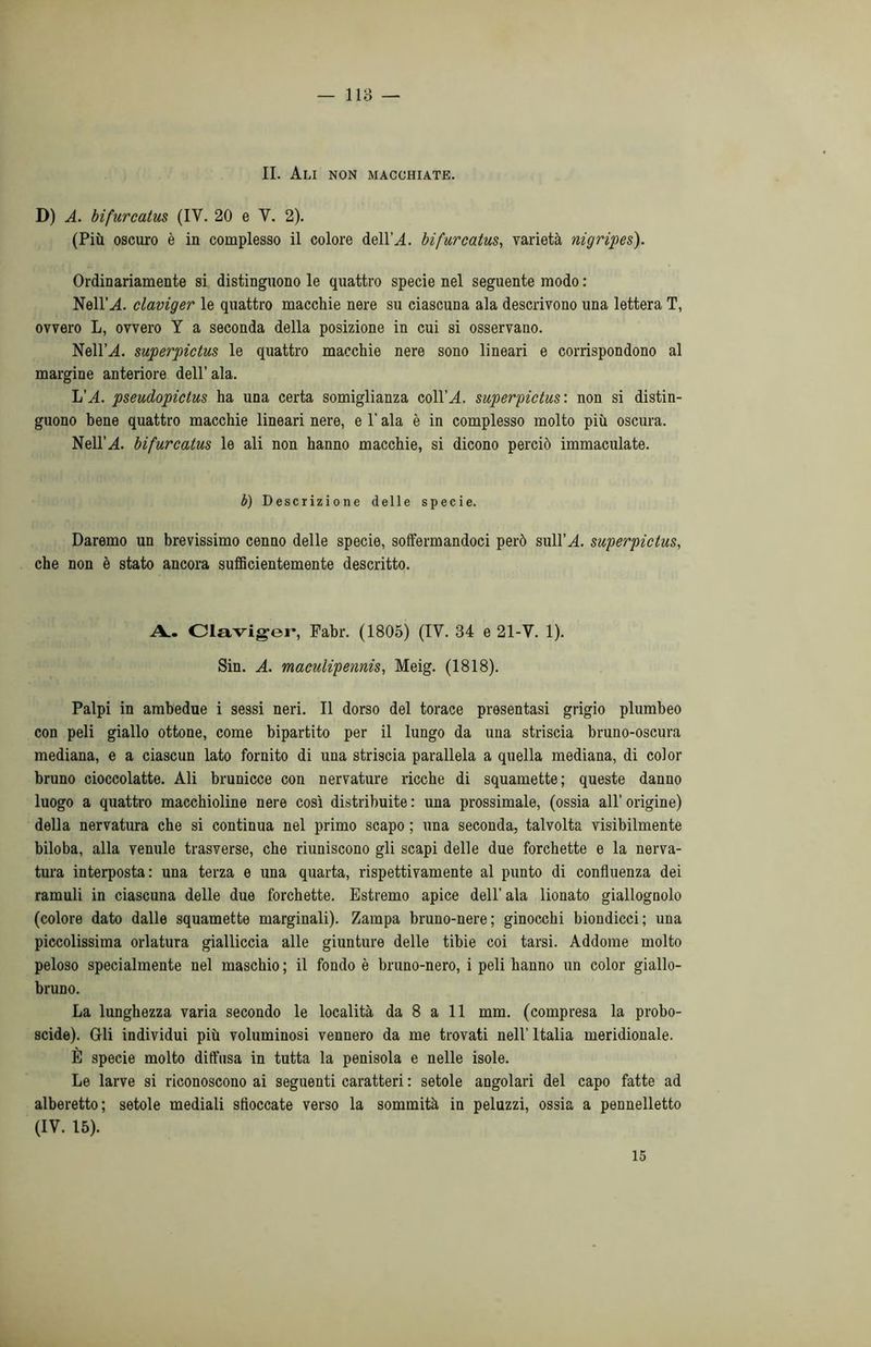 li. Ali non macchiate. D) A. bifurcatus (IV. 20 e V. 2). (Più oscuro è in complesso il colore dell’X bifurcatus, varietà nigripes). Ordinariamente si distinguono le quattro specie nel seguente modo : Nell’A. claviger le quattro macchie nere su ciascuna ala descrivono una lettera T, ovvero L, ovvero Y a seconda della posizione in cui si osservano. Nell’X superpictus le quattro macchie nere sono lineari e corrispondono al margine anteriore dell’ ala. L’A. pseudopictus ha una certa somiglianza coll’X superpictus : non si distin- guono bene quattro macchie lineari nere, e l’ala è in complesso molto più oscura. Nell’.4. bifurcatus le ali non hanno macchie, si dicono perciò immaculate. b) Descrizione delle specie. Daremo un brevissimo cenno delle specie, soffermandoci però sull’A superpictus, che non è stato ancora sufficientemente descritto. A.. Claviger, Fabr. (1805) (IV. 34 e 21-V. 1). Sin. A. maculipennis, Meig. (1818). Palpi in ambedue i sessi neri. Il dorso del torace presentasi grigio plumbeo con peli giallo ottone, come bipartito per il lungo da una striscia bruno-oscura mediana, e a ciascun lato fornito di una striscia parallela a quella mediana, di color bruno cioccolatte. Ali brunicce con nervature ricche di squamette; queste danno luogo a quattro macchioline nere così distribuite : una prossimale, (ossia all’ origine) della nervatura che si continua nel primo scapo ; una seconda, talvolta visibilmente biloba, alla venule trasverse, che riuniscono gli scapi delle due forchette e la nerva- tura interposta: una terza e una quarta, rispettivamente al punto di confluenza dei ramuli in ciascuna delle due forchette. Estremo apice dell’ala lionato giallognolo (colore dato dalle squamette marginali). Zampa bruno-nere; ginocchi biondicci; una piccolissima orlatura gialliccia alle giunture delle tibie coi tarsi. Addome molto peloso specialmente nel maschio ; il fondo è bruno-nero, i peli hanno un color giallo- bruno. La lunghezza varia secondo le località da 8 a 11 mm. (compresa la probo- scide). Gli individui più voluminosi vennero da me trovati nell’Italia meridionale. È specie molto diffusa in tutta la penisola e nelle isole. Le larve si riconoscono ai seguenti caratteri : setole angolari del capo fatte ad alberetto; setole mediali sfioccate verso la sommità in peluzzi, ossia a pennelletto (IV. 15). 15