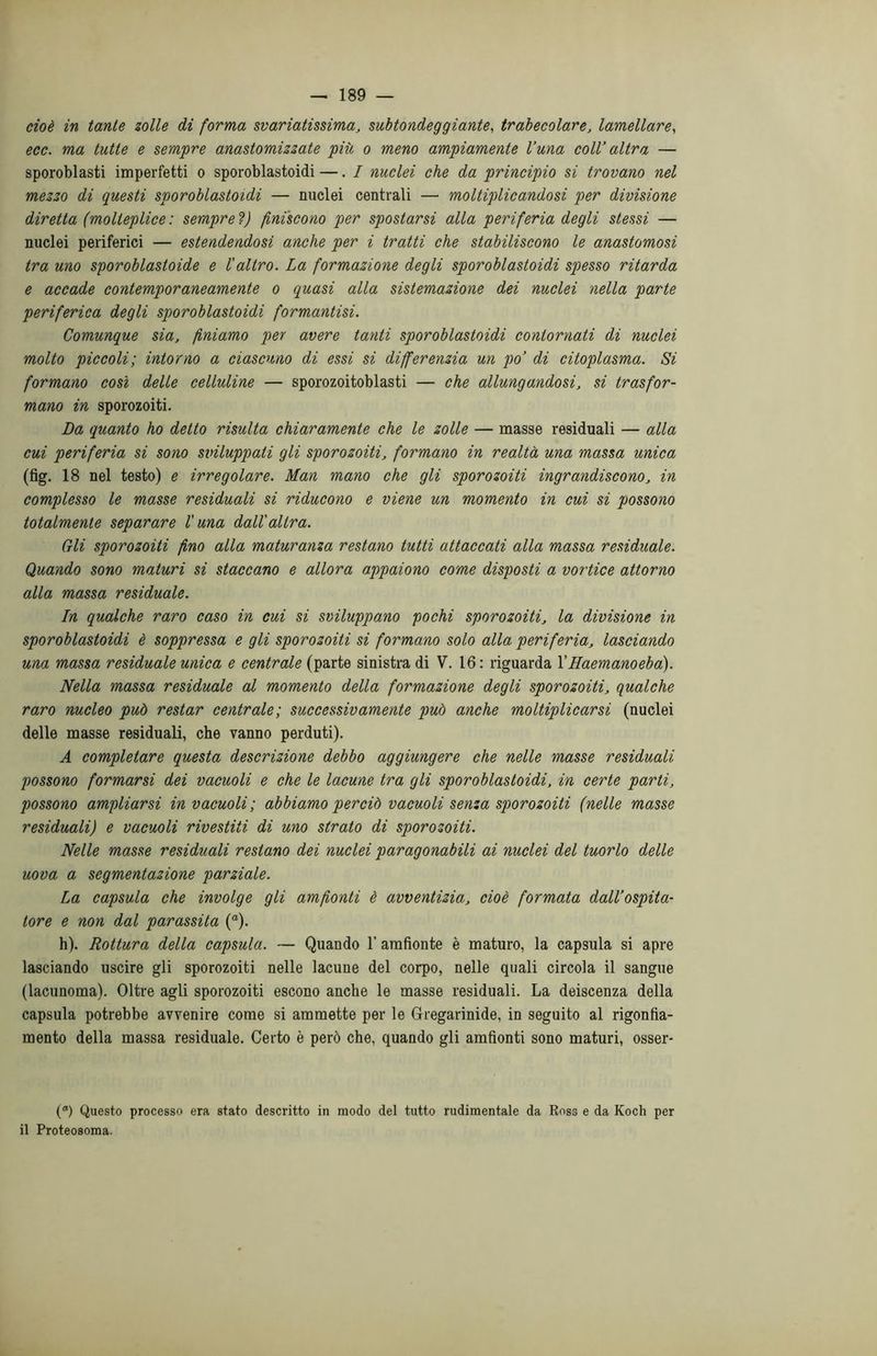 cioè in tante zolle di forma svariatissima, subtondeggiante, trabecolare, lamellare, ecc. ma tutte e sempre anastomizzate più o meno ampiamente l’una coll’ altra — sporoblasti imperfetti o sporoblastoidi —. I nuclei che da principio si trovano nel mezzo di questi sporoblastoidi — nuclei centrali — moltiplicandosi per divisione diretta (molteplice: sempre?) finiscono per spostarsi alla periferia degli stessi — nuclei periferici — estendendosi anche per i tratti che stabiliscono le anastomosi tra uno sporoblastoide e l'altro. La formazione degli sporoblastoidi spesso ritarda e accade contemporaneamente o quasi alla sistemazione dei nuclei nella parte periferica degli sporoblastoidi formantisi. Comunque sia, finiamo per avere tanti sporoblastoidi contornati di nuclei molto piccoli; intorno a ciascuno di essi si differenzia un po’ di citoplasma. Si formano così delle celluline — sporozoitoblasti — che allungandosi, si trasfor- mano in sporozoiti. Dà quanto ho detto risulta chiaramente che le zolle — masse residuali — alla cui periferia si sono sviluppali gli sporozoiti, formano in realtà una massa unica (fig. 18 nel testo) e irregolare. Man mano che gli sporozoiti ingrandiscono, in complesso le masse residuali si riducono e viene un momento in cui si possono totalmente separare l'una dall'altra. Gli sporozoiti fino alla maturanza restano tutti attaccati alla massa residuale. Quando sono maturi si staccano e allora appaiono come disposti a vortice attorno alla massa residuale. In qualche raro caso in cui si sviluppano pochi sporozoiti, la divisione in sporoblastoidi è soppressa e gli sporozoiti si formano solo alla periferia, lasciando una massa residuale unica e centrale (parte sinistra di V. 16 : riguarda Y Haem ano eb a). Nella massa residuale al momento della formazione degli sporozoiti, qualche raro nucleo può restar centrale; successivamente può anche moltiplicarsi (nuclei delle masse residuali, che vanno perduti). A completare questa descrizione debbo aggiungere che nelle masse residuali possono formarsi dei vacuoli e che le lacune tra gli sporoblastoidi, in certe parti, possono ampliarsi in vacuoli; abbiamo perciò vacuoli senza sporozoiti (nelle masse residuali) e vacuoli rivestiti di uno strato di sporozoiti. Nelle masse residuali restano dei nuclei paragonabili ai nuclei del tuorlo delle uova a segmentazione parziale. La capsula che involge gli ammonti è avventizia, cioè formata dall’ospita- lore e non dal parassita (°). h). Rottura della capsula. — Quando 1' amfionte è maturo, la capsula si apre lasciando uscire gli sporozoiti nelle lacune del corpo, nelle quali circola il sangue (lacunoma). Oltre agli sporozoiti escono anche le masse residuali. La deiscenza della capsula potrebbe avvenire come si ammette per le Gregarinide, in seguito al rigonfia- mento della massa residuale. Certo è però che, quando gli amfìonti sono maturi, osser- (a) Questo processo era stato descritto in modo del tutto rudimentale da Ross e da Koch per il Proteosoma.
