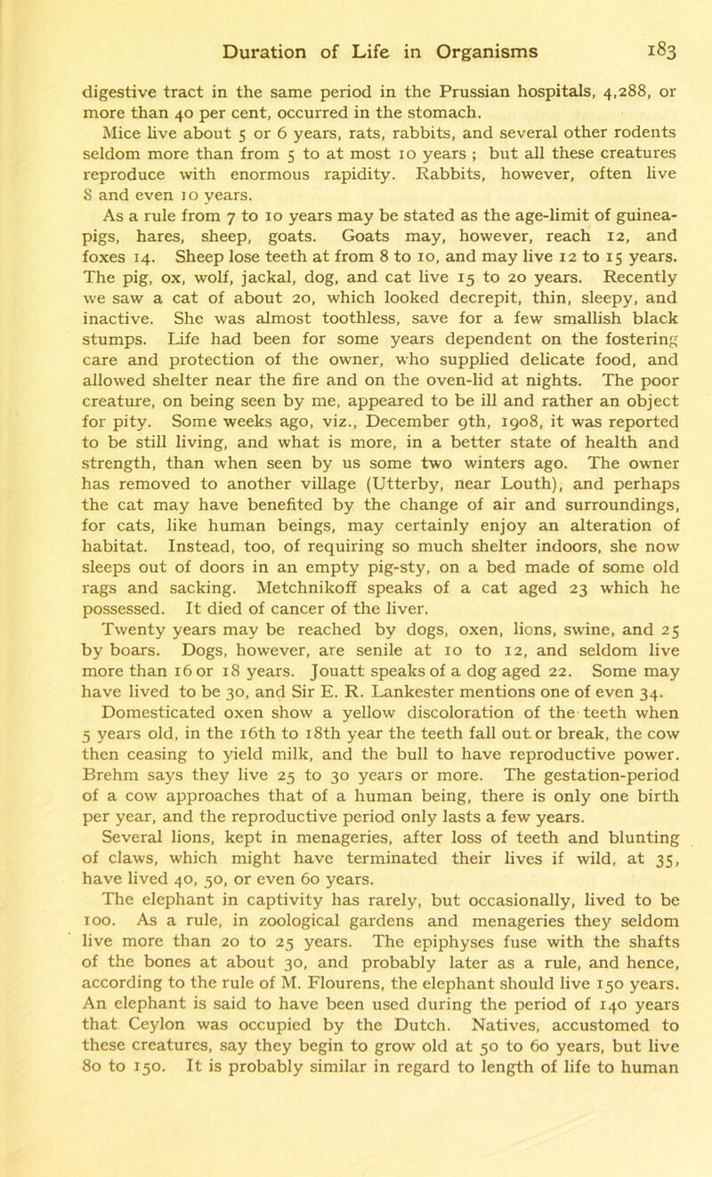 digestive tract in the same period in the Prussian hospitals, 4,288, or more than 40 per cent, occurred in the stomach. Mice live about 5 or 6 years, rats, rabbits, and several other rodents seldom more than from 5 to at most 10 years ; but all these creatures reproduce with enormous rapidity. Rabbits, however, often live 8 and even 10 years. As a rule from 7 to 10 years may be stated as the age-limit of guinea- pigs, hares, sheep, goats. Goats may, however, reach 12, and foxes 14. Sheep lose teeth at from 8 to xo, and may live 12 to 15 years. The pig, ox, wolf, jackal, dog, and cat live 15 to 20 years. Recently we saw a cat of about 20, which looked decrepit, thin, sleepy, and inactive. She was almost toothless, save for a few smallish black stumps. Life had been for some years dependent on the fostering care and protection of the owner, who supplied delicate food, and allowed shelter near the fire and on the oven-lid at nights. The poor creature, on being seen by me, appeared to be ill and rather an object for pity. Some weeks ago, viz., December gth, 1908, it was reported to be still living, and what is more, in a better state of health and strength, than when seen by us some two winters ago. The owner has removed to another village (Utterby, near Louth), and perhaps the cat may have benefited by the change of air and surroundings, for cats, like human beings, may certainly enjoy an alteration of habitat. Instead, too, of requiring so much shelter indoors, she now sleeps out of doors in an empty pig-sty, on a bed made of some old rags and sacking. Metchnikoff speaks of a cat aged 23 which he possessed. It died of cancer of the liver. Twenty years may be reached by dogs, oxen, lions, swine, and 25 by boars. Dogs, however, are senile at 10 to 12, and seldom live more than 16 or 18 years. Jouatt speaks of a dog aged 22. Some may have lived to be 30, and Sir E. R. Lankester mentions one of even 34. Domesticated oxen show a yellow discoloration of the teeth when 5 years old, in the 16th to 18th year the teeth fall out or break, the cow then ceasing to yield milk, and the bull to have reproductive power. Brehm says they live 25 to 30 years or more. The gestation-period of a cow approaches that of a human being, there is only one birth per year, and the reproductive period only lasts a few years. Several lions, kept in menageries, after loss of teeth and blunting of claws, which might have terminated their lives if wild, at 35, have lived 40, 50, or even 60 years. The elephant in captivity has rarely, but occasionally, lived to be 100. As a rule, in zoological gardens and menageries they seldom live more than 20 to 25 years. The epiphyses fuse with the shafts of the bones at about 30, and probably later as a rule, and hence, according to the rule of M. Flourens, the elephant should live 150 years. An elephant is said to have been used during the period of 140 years that Ceylon was occupied by the Dutch. Natives, accustomed to these creatures, say they begin to grow old at 50 to 60 years, but live 80 to 150. It is probably similar in regard to length of life to human