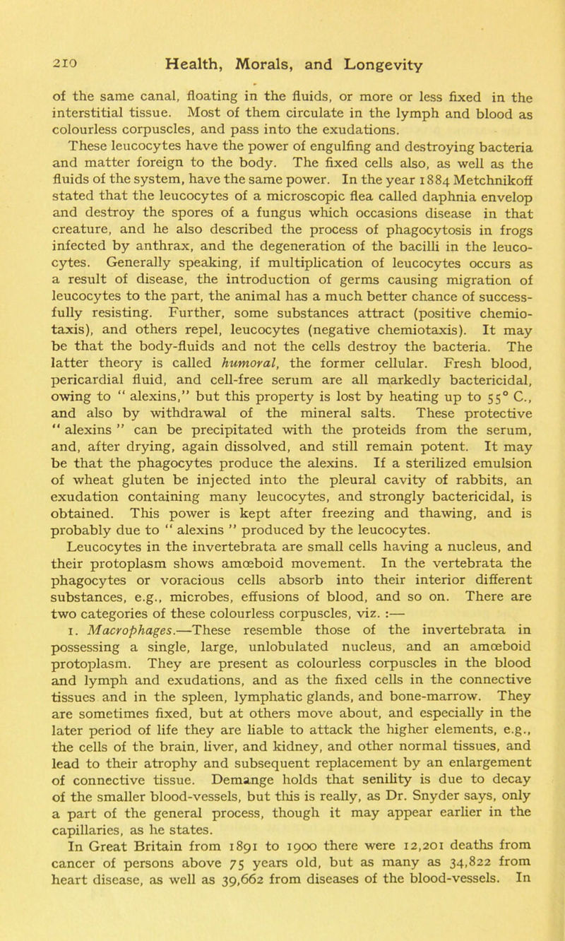 of the same canal, floating in the fluids, or more or less fixed in the interstitial tissue. Most of them circulate in the lymph and blood as colourless corpuscles, and pass into the exudations. These leucocytes have the power of engulfing and destroying bacteria and matter foreign to the body. The fixed cells also, as well as the fluids of the system, have the same power. In the year 1884 Metchnikoff stated that the leucocytes of a microscopic flea called daphnia envelop and destroy the spores of a fungus which occasions disease in that creature, and he also described the process of phagocytosis in frogs infected by anthrax, and the degeneration of the bacilli in the leuco- cytes. Generally speaking, if multiplication of leucocytes occurs as a result of disease, the introduction of germs causing migration of leucocytes to the part, the animal has a much better chance of success- fully resisting. Further, some substances attract (positive chemio- taxis), and others repel, leucocytes (negative chemiotaxis). It may be that the body-fluids and not the cells destroy the bacteria. The latter theory is called humoral, the former cellular. Fresh blood, pericardial fluid, and cell-free serum are all markedly bactericidal, owing to “ alexins,” but this property is lost by heating up to 550 C., and also by withdrawal of the mineral salts. These protective “ alexins ” can be precipitated with the proteids from the serum, and, after drying, again dissolved, and still remain potent. It may be that the phagocytes produce the alexins. If a sterilized emulsion of wheat gluten be injected into the pleural cavity of rabbits, an exudation containing many leucocytes, and strongly bactericidal, is obtained. This power is kept after freezing and thawing, and is probably due to “ alexins ” produced by the leucocytes. Leucocytes in the invertebrata are small cells having a nucleus, and their protoplasm shows amoeboid movement. In the vertebrata the phagocytes or voracious cells absorb into their interior different substances, e.g., microbes, effusions of blood, and so on. There are two categories of these colourless corpuscles, viz. :— 1. Macrophages.—These resemble those of the invertebrata in possessing a single, large, unlobulated nucleus, and an amoeboid protoplasm. They are present as colourless corpuscles in the blood and lymph and exudations, and as the fixed cells in the connective tissues and in the spleen, lymphatic glands, and bone-marrow. They are sometimes fixed, but at others move about, and especially in the later period of life they are liable to attack the higher elements, e.g., the cells of the brain, liver, and kidney, and other normal tissues, and lead to their atrophy and subsequent replacement by an enlargement of connective tissue. Demange holds that senility is due to decay of the smaller blood-vessels, but tins is really, as Dr. Snyder says, only a part of the general process, though it may appear earlier in the capillaries, as he states. In Great Britain from 1891 to 1900 there were 12,201 deaths from cancer of persons above 75 years old, but as many as 34,822 from heart disease, as well as 39,662 from diseases of the blood-vessels. In