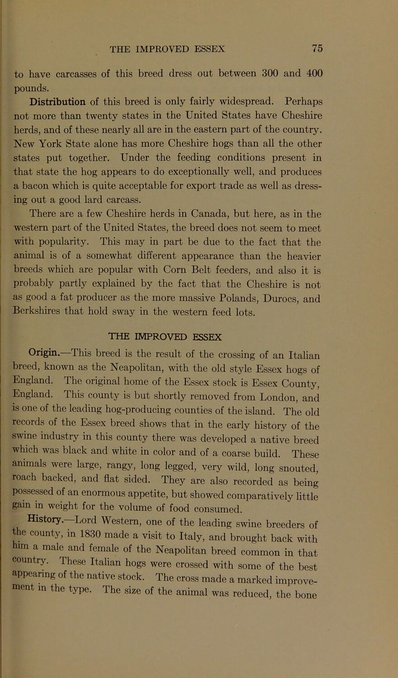 to have carcasses of this breed dress out between 300 and 400 pounds. Distribution of this breed is only fairly widespread. Perhaps not more than twenty states in the United States have Cheshire herds, and of these nearly all are in the eastern part of the country. New York State alone has more Cheshire hogs than all the other states put together. Under the feeding conditions present in that state the hog appears to do exceptionally well, and produces a bacon which is quite acceptable for export trade as well as dress- ing out a good lard carcass. There are a few Cheshire herds in Canada, but here, as in the western part of the United States, the breed does not seem to meet with popularity. This may in part be due to the fact that the animal is of a somewhat different appearance than the heavier breeds which are popular with Corn Belt feeders, and also it is probably partly explained by the fact that the Cheshire is not as good a fat producer as the more massive Polands, Durocs, and Berkshires that hold sway in the western feed lots. THE IMPROVED ESSEX Origin. This breed is the result of the crossing of an Italian breed, known as the Neapolitan, with the old style Essex hogs of England. The original home of the Essex stock is Essex County, England. This county is but shortly removed from London, and is one of the leading hog-producing counties of the island. The old records of the Essex breed shows that in the early history of the swine industry in this county there was developed a native breed which was black and white in color and of a coarse build. These animals were large, rangy, long legged, very wild, long snouted, roach backed, and flat sided. They are also recorded as being possessed of an enormous appetite, but showed comparatively little gain in weight for the volume of food consumed. History.—Lord Western, one of the leading swine breeders of the county, in 1830 made a visit to Italy, and brought back with him a male and female of the Neapolitan breed common in that country. These Italian hogs were crossed with some of the best appearing of the native stock. The cross made a marked improve- ment in the type. The size of the animal was reduced, the bone