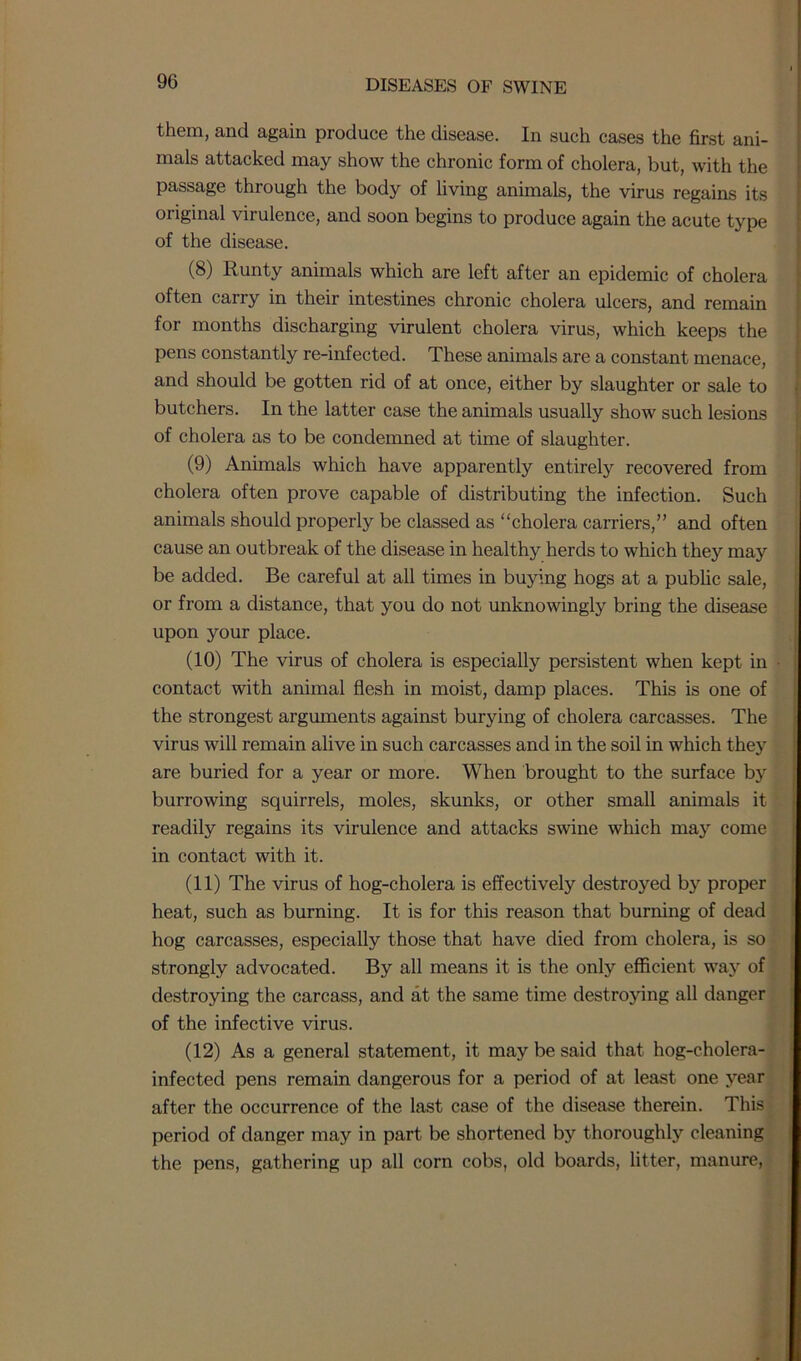 9G them, and again produce the disease. In such cases the first ani- mals attacked may show the chronic form of cholera, but, with the passage through the body of living animals, the virus regains its original virulence, and soon begins to produce again the acute type of the disease. (8) Runty animals which are left after an epidemic of cholera often carry in their intestines chronic cholera ulcers, and remain for months discharging virulent cholera virus, which keeps the pens constantly re-infected. These animals are a constant menace, and should be gotten rid of at once, either by slaughter or sale to butchers. In the latter case the animals usually show such lesions of cholera as to be condemned at time of slaughter. (9) Animals which have apparently entirely recovered from cholera often prove capable of distributing the infection. Such animals should properly be classed as “cholera carriers,” and often cause an outbreak of the disease in healthy herds to which they may be added. Be careful at all times in buying hogs at a public sale, or from a distance, that you do not unknowingly bring the disease upon your place. (10) The virus of cholera is especially persistent when kept in contact with animal flesh in moist, damp places. This is one of the strongest arguments against burying of cholera carcasses. The virus will remain alive in such carcasses and in the soil in which the}’’ are buried for a year or more. When brought to the surface by burrowing squirrels, moles, skunks, or other small animals it readily regains its virulence and attacks swine which may come in contact with it. (11) The virus of hog-cholera is effectively destroyed by proper heat, such as burning. It is for this reason that burning of dead hog carcasses, especially those that have died from cholera, is so strongly advocated. By all means it is the only efficient way of destroying the carcass, and at the same time destroying all danger of the infective virus. (12) As a general statement, it may be said that hog-cholera- infected pens remain dangerous for a period of at least one year after the occurrence of the last case of the disease therein. This period of danger may in part be shortened by thoroughly cleaning the pens, gathering up all corn cobs, old boards, litter, manure,