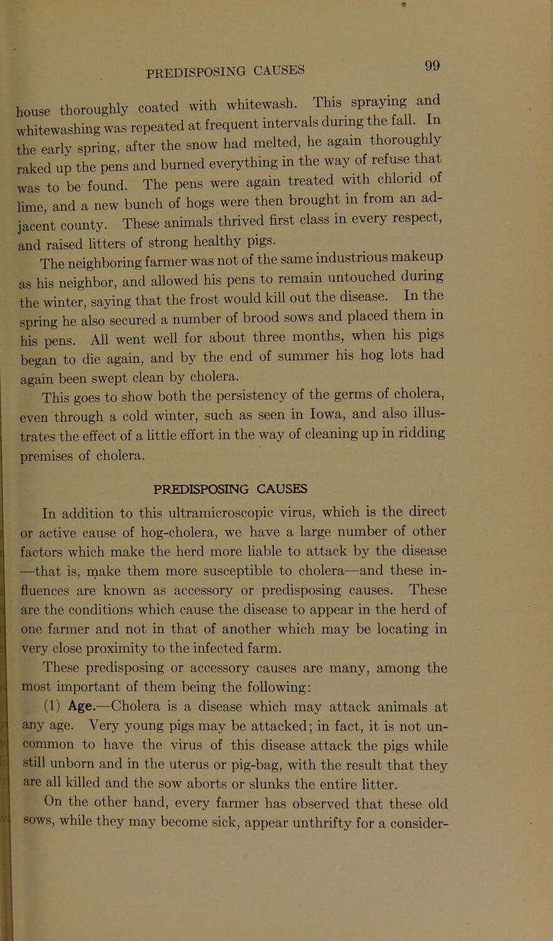 house thoroughly coated with whitewash. This spraying and whitewashing was repeated at frequent intervals during the fall. In the early spring, after the snow had melted, he again thoroughly raked up the pens and burned everything in the way of refuse that was to be found. The pens were again treated with chlond of lime, and a new bunch of hogs were then brought m from an ad- jacent county. These animals thrived first class in every respect, and raised litters of strong healthy pigs. The neighboring farmer was not of the same industrious makeup as his neighbor, and allowed his pens to remain untouched during the winter, saying that the frost would kill out the disease. In the spring he also secured a number of brood sows and placed them in his pens. All went well for about three months, when his pigs began to die again, and by the end of summer his hog lots had again been swept clean by cholera. This goes to show both the persistency of the germs of cholera, even through a cold winter, such as seen in Iowa, and also illus- trates the effect of a little effort in the way of cleaning up in ridding premises of cholera. PREDISPOSING CAUSES In addition to this ultramicroscopic virus, which is the direct or active cause of hog-cholera, we have a large number of other factors which make the herd more liable to attack by the disease —that is, make them more susceptible to cholera—and these in- fluences are known as accessory or predisposing causes. These are the conditions which cause the disease to appear in the herd of one farmer and not in that of another which may be locating in very close proximity to the infected farm. These predisposing or accessory causes are many, among the most important of them being the following: (1) Age.—Cholera is a disease which may attack animals at any age. Very young pigs may be attacked; in fact, it is not un- common to have the virus of this disease attack the pigs while still unborn and in the uterus or pig-bag, with the result that they are all killed and the sow aborts or slunks the entire litter. On the other hand, every farmer has observed that these old sows, while they may become sick, appear unthrifty for a consider-