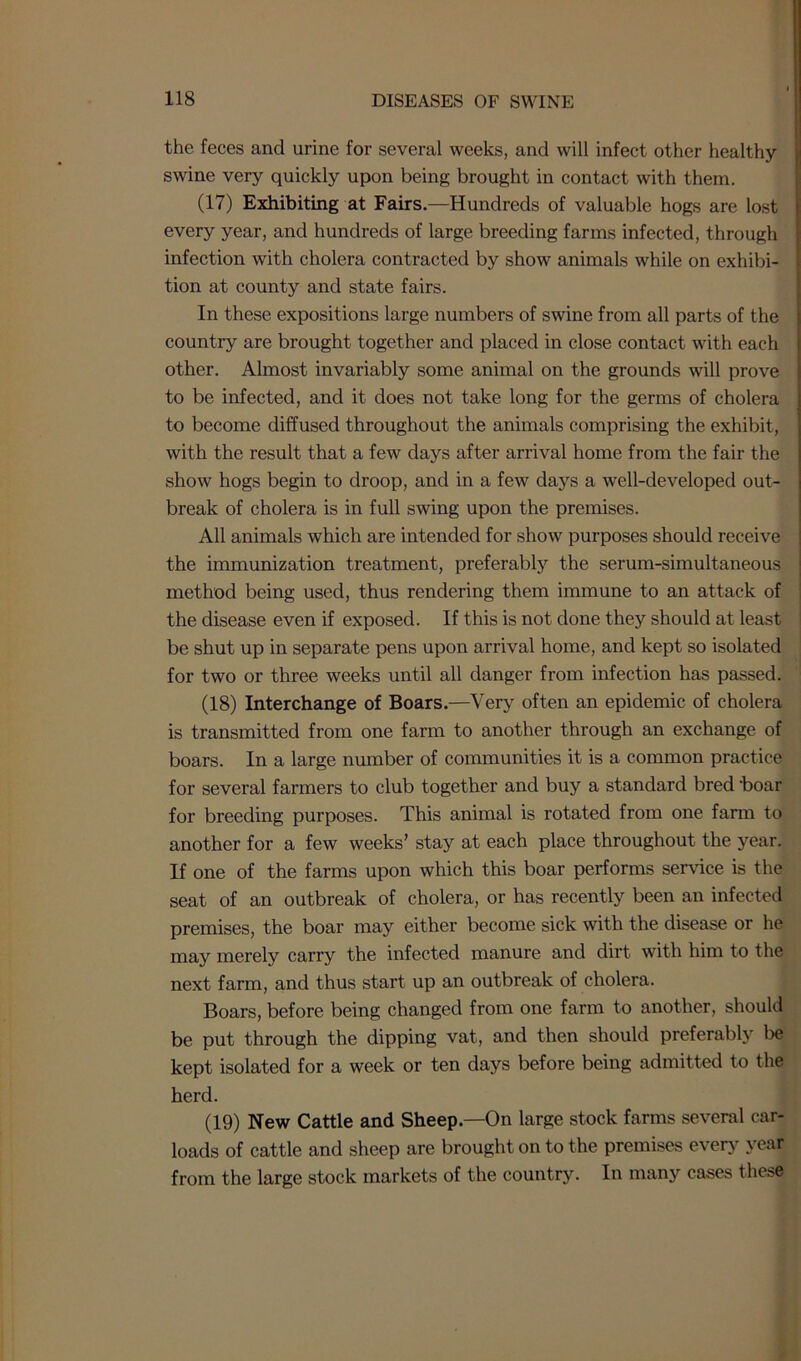 the feces and urine for several weeks, and will infect other healthy swine very quickly upon being brought in contact with them. (17) Exhibiting at Fairs.—Hundreds of valuable hogs are lost every year, and hundreds of large breeding farms infected, through infection with cholera contracted by show animals while on exhibi- tion at county and state fairs. In these expositions large numbers of swine from all parts of the country are brought together and placed in close contact with each other. Almost invariably some animal on the grounds will prove to be infected, and it does not take long for the germs of cholera to become diffused throughout the animals comprising the exhibit, with the result that a few days after arrival home from the fair the show hogs begin to droop, and in a few days a well-developed out- break of cholera is in full swing upon the premises. All animals which are intended for show purposes should receive the immunization treatment, preferably the serum-simultaneous method being used, thus rendering them immune to an attack of the disease even if exposed. If this is not done they should at least be shut up in separate pens upon arrival home, and kept so isolated for two or three weeks until all danger from infection has passed. (18) Interchange of Boars.—Very often an epidemic of cholera is transmitted from one farm to another through an exchange of boars. In a large number of communities it is a common practice for several farmers to club together and buy a standard bred boar for breeding purposes. This animal is rotated from one farm to another for a few weeks’ stay at each place throughout the year. If one of the farms upon which this boar performs service is the seat of an outbreak of cholera, or has recently been an infected premises, the boar may either become sick with the disease or he may merely carry the infected manure and dirt with him to the next farm, and thus start up an outbreak of cholera. Boars, before being changed from one farm to another, should be put through the dipping vat, and then should preferably be kept isolated for a week or ten days before being admitted to the herd. (19) New Cattle and Sheep—On large stock farms several car- loads of cattle and sheep are brought on to the premises every year from the large stock markets of the country. In many cases these