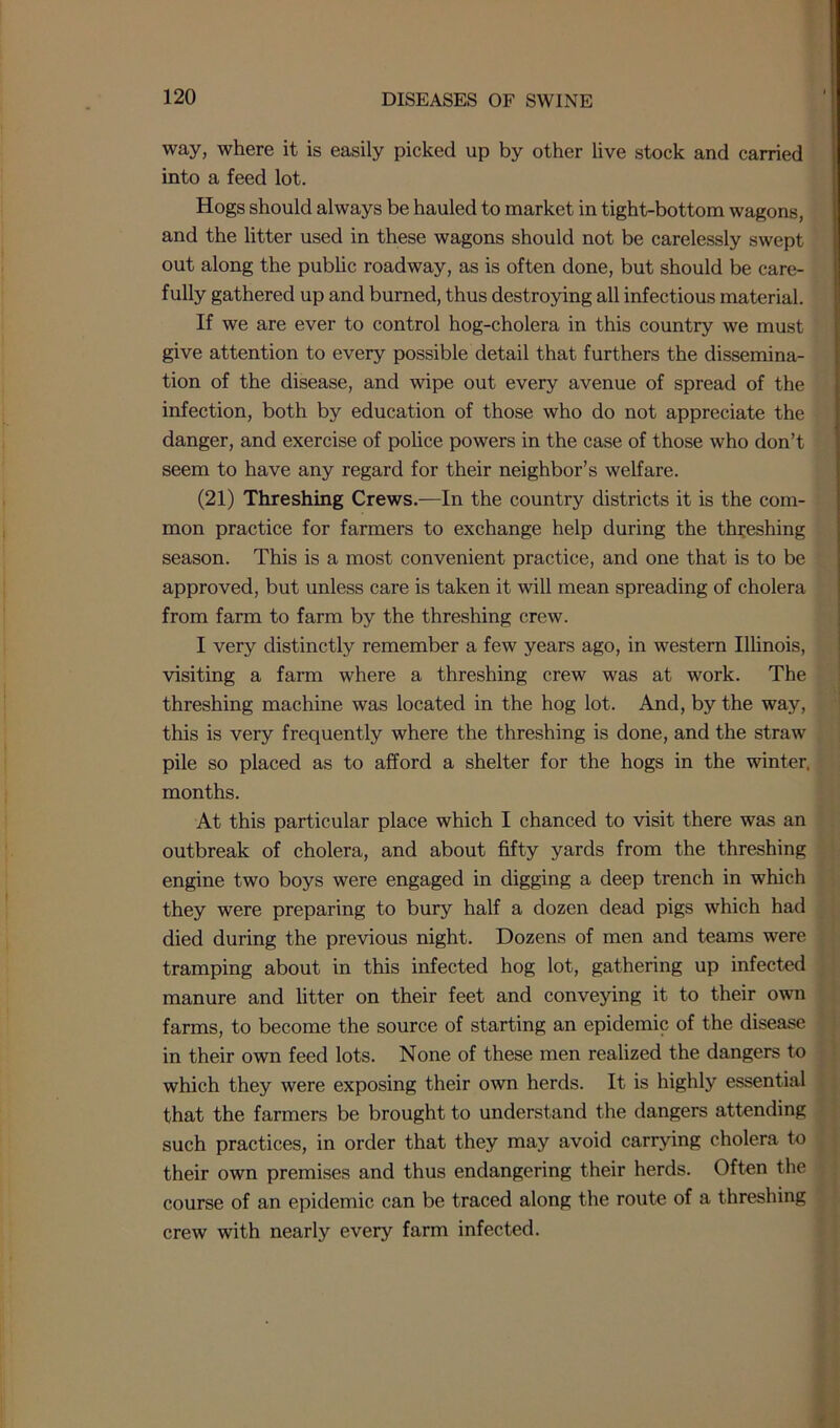 way, where it is easily picked up by other live stock and carried into a feed lot. Hogs should always be hauled to market in tight-bottom wagons, and the litter used in these wagons should not be carelessly swept out along the public roadway, as is often done, but should be care- fully gathered up and burned, thus destroying all infectious material. If we are ever to control hog-cholera in this country we must give attention to every possible detail that furthers the dissemina- tion of the disease, and wipe out every avenue of spread of the infection, both by education of those who do not appreciate the danger, and exercise of police powers in the case of those who don’t seem to have any regard for their neighbor’s welfare. (21) Threshing Crews.—In the country districts it is the com- mon practice for farmers to exchange help during the threshing season. This is a most convenient practice, and one that is to be approved, but unless care is taken it will mean spreading of cholera from farm to farm by the threshing crew. I very distinctly remember a few years ago, in western Illinois, visiting a farm where a threshing crew was at work. The threshing machine was located in the hog lot. And, by the way, this is very frequently where the threshing is done, and the straw pile so placed as to afford a shelter for the hogs in the winter, months. At this particular place which I chanced to visit there was an outbreak of cholera, and about fifty yards from the threshing engine two boys were engaged in digging a deep trench in which they were preparing to bury half a dozen dead pigs which had died during the previous night. Dozens of men and teams were tramping about in this infected hog lot, gathering up infected manure and litter on their feet and conveying it to their own farms, to become the source of starting an epidemic of the disease in their own feed lots. None of these men realized the dangers to which they were exposing their own herds. It is highly essential that the farmers be brought to understand the dangers attending such practices, in order that they may avoid carrying cholera to their own premises and thus endangering their herds. Often the course of an epidemic can be traced along the route of a threshing crew with nearly every farm infected.