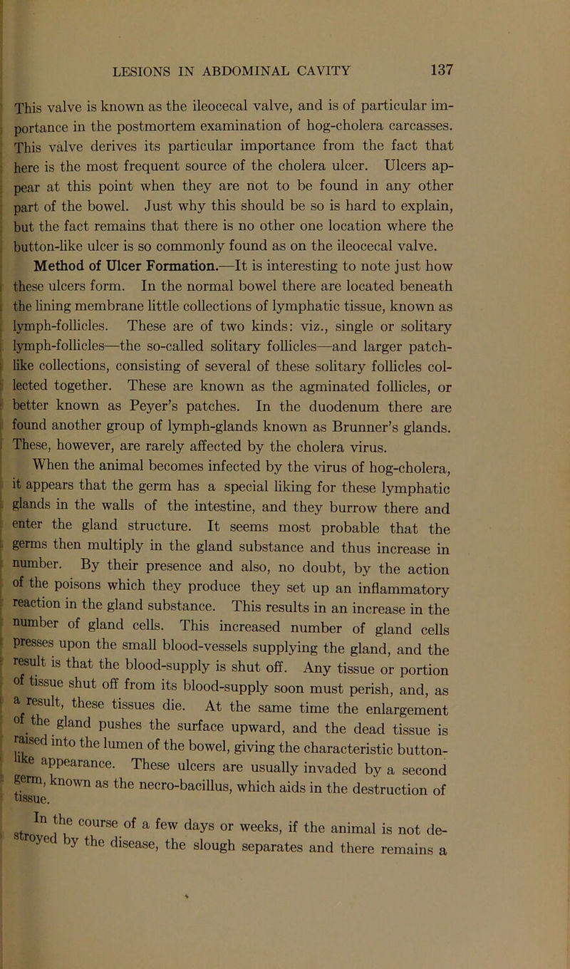 This valve is known as the ileocecal valve, and is of particular im- portance in the postmortem examination of hog-cholera carcasses. This valve derives its particular importance from the fact that here is the most frequent source of the cholera ulcer. Ulcers ap- pear at this point when they are not to be found in any other part of the bowel. Just why this should be so is hard to explain, but the fact remains that there is no other one location where the button-like ulcer is so commonly found as on the ileocecal valve. Method of Ulcer Formation.—It is interesting to note just how these ulcers form. In the normal bowel there are located beneath the lining membrane little collections of lymphatic tissue, known as lymph-follicles. These are of two kinds: viz., single or solitary lymph-follicles—the so-called solitary follicles—and larger patch- ; like collections, consisting of several of these solitary follicles col- : lected together. These are known as the agminated follicles, or better known as Peyer’s patches. In the duodenum there are found another group of lymph-glands known as Brunner’s glands. These, however, are rarely affected by the cholera virus. When the animal becomes infected by the virus of hog-cholera, it appears that the germ has a special liking for these lymphatic glands in the walls of the intestine, and they burrow there and enter the gland structure. It seems most probable that the germs then multiply in the gland substance and thus increase in number. By their presence and also, no doubt, by the action of the poisons which they produce they set up an inflammatory reaction in the gland substance. This results in an increase in the number of gland cells. This increased number of gland cells [ presses upon the small blood-vessels supplying the gland, and the result is that the blood-supply is shut off. Any tissue or portion of tissue shut off from its blood-supply soon must perish, and, as a result, these tissues die. At the same time the enlargement 0 the gland pushes the surface upward, and the dead tissue is raised into the lumen of the bowel, giving the characteristic button- e appearance. These ulcers are usually invaded by a second germ, known as the necro-bacillus, which aids in the destruction of tissue. t str In H? C°Urse of a few days or weeks, if the animal is not de- °ye y the disease, the slough separates and there remains a