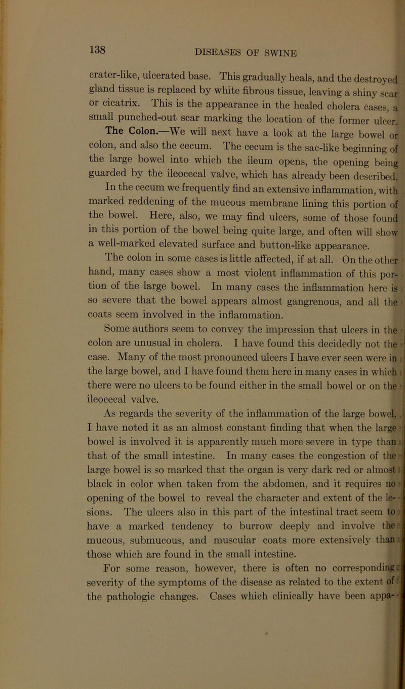 crater-like, ulcerated base. This gradually heals, and the destroyed gland tissue is replaced by white fibrous tissue, leaving a shiny scar or cicatrix. This is the appearance in the healed cholera cases, a small punched-out scar marking the location of the former ulcer. The Colon. We will next have a look at the large bowel or colon, and also the cecum. The cecum is the sac-like beginning of the large bowel into which the ileum opens, the opening being guaided by the ileocecal valve, which has already been described. In the cecum we frequently find an extensive inflammation, with marked reddening of the mucous membrane lining this portion of the bowel. Here, also, we may find ulcers, some of those found in this portion of the bowel being quite large, and often will show a well-marked elevated surface and button-like appearance. The colon in some cases is little affected, if at all. On the other hand, many cases show a most violent inflammation of this por- tion of the large bowel. In many cases the inflammation here is so severe that the bowel appears almost gangrenous, and all the coats seem involved in the inflammation. Some authors seem to convey the impression that ulcers in the colon are unusual in cholera. I have found this decidedly not the case. Many of the most pronounced ulcers I have ever seen were in . the large bowel, and I have found them here in man}' cases in which . there were no ulcers to be found either in the small bowel or on the ileocecal valve. As regards the severity of the inflammation of the large bowel, J I have noted it as an almost constant finding that when the large * bowel is involved it is apparently much more severe in type than that of the small intestine. In many cases the congestion of the large bowel is so marked that the organ is very dark red or almost: black in color when taken from the abdomen, and it requires no opening of the bowel to reveal the character and extent of the le- - sions. The ulcers also in this part of the intestinal tract seem to have a marked tendency to burrow deeply and involve the mucous, submucous, and muscular coats more extensively than . those which are found in the small intestine. For some reason, however, there is often no corresponding: severity of the symptoms of the disease as related to the extent of the pathologic changes. Cases which clinically have been appa-