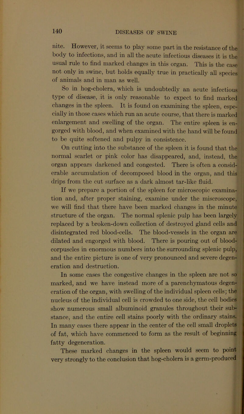 nite. However, it seems to play some part in the resistance of the body to infections, and in all the acute infectious diseases it is the usual rule to find marked changes in this organ. This is the case not only in swine, but holds equally true in practically all species of animals and in man as well. So in hog-cholera, which is undoubtedly an acute infectious type of disease, it is only reasonable to expect to find marked changes in the spleen. It is found on examining the spleen, espe- cially in those cases which run an acute course, that there is marked enlargement and swelling of the organ. The entire spleen is en- gorged with blood, and when examined with the hand will be found to be quite softened and pulpy in consistence. On cutting into the substance of the spleen it is found that the normal scarlet or pink color has disappeared, and, instead, the organ appears darkened and congested. There is often a consid- erable accumulation of decomposed blood in the organ, and this drips from the cut surface as a dark almost tar-like fluid. If we prepare a portion of the spleen for microscopic examina- tion and, after proper staining, examine under the miscroscope, we will find that there have been marked changes in the minute structure of the organ. The normal splenic pulp has been largely replaced by a broken-down collection of destroyed gland cells and disintegrated red blood-cells. The blood-vessels in the organ are dilated and engorged with blood. There is pouring out of blood- corpuscles in enormous numbers into the surrounding splenic pulp, and the entire picture is one of very pronounced and severe degen- eration and destruction. In some cases the congestive changes in the spleen are not so marked, and we have instead more of a parenchymatous degen- eration of the organ, with swelling of the individual spleen cells; the nucleus of the individual cell is crowded to one side, the cell bodies show numerous small albuminoid granules throughout their sub- stance, and the entire cell stains poorly with the ordinary stains. In many cases there appear in the center of the cell small droplets of fat, which have commenced to form as the result of beginning fatty degeneration. These marked changes in the spleen would seem to point very strongly to the conclusion that hog-cholera is a germ-produced