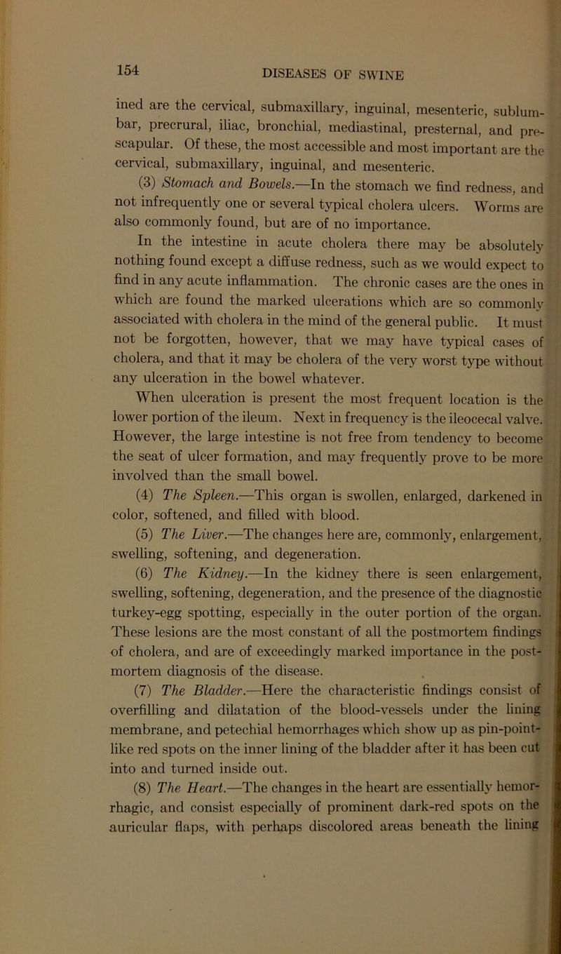 ined are the cervical, submaxillary, inguinal, mesenteric, sublum- bar, precrural, iliac, bronchial, mediastinal, presternal, and pre- scapular. Of these, the most accessible and most important are the cervical, submaxillary, inguinal, and mesenteric. (3) Stomach and Bowels. In the stomach we find redness, and not infrequently one or several typical cholera ulcers. Worms are also commonly found, but are of no importance. In the intestine in acute cholera there may be absolutely nothing found except a diffuse redness, such as we would expect to find in any acute inflammation. The chronic cases are the ones in which are found the marked ulcerations which are so commonly associated with cholera in the mind of the general public. It must not be forgotten, however, that we may have typical cases of cholera, and that it may be cholera of the very worst type without any ulceration in the bowel whatever. When ulceration is present the most frequent location is the lower portion of the ileum. Next in frequency is the ileocecal valve. However, the large intestine is not free from tendency to become the seat of ulcer formation, and may frequently prove to be more involved than the small bowel. (4) The Spleen.—This organ is swollen, enlarged, darkened in color, softened, and filled with blood. (5) The Liver.—The changes here are, commonly, enlargement, swelling, softening, and degeneration. (6) The Kidney.—In the kidney there is seen enlargement, swelling, softening, degeneration, and the presence of the diagnostic turkey-egg spotting, especially in the outer portion of the organ. These lesions are the most constant of all the postmortem findings of cholera, and are of exceedingly marked importance in the post- mortem diagnosis of the disease. (7) The Bladder.—Here the characteristic findings consist of overfilling and dilatation of the blood-vessels under the lining membrane, and petechial hemorrhages which show up as pin-point- like red spots on the inner lining of the bladder after it has been cut into and turned inside out. (8) The Heart.—The changes in the heart are essentially hemor- rhagic, and consist especially of prominent dark-red spots on the auricular flaps, with perhaps discolored areas beneath the lining