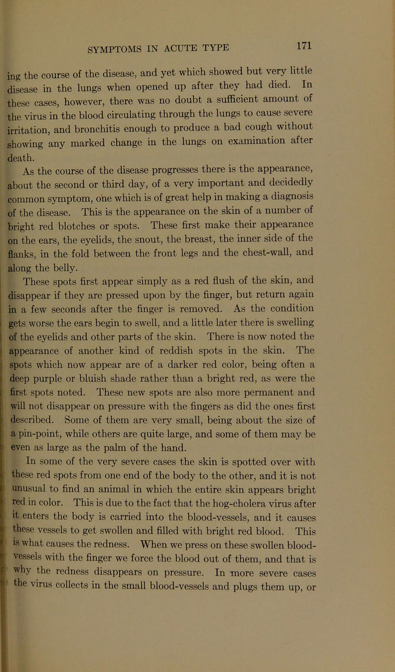 ing the course of the disease, and yet which showed but very little disease in the lungs when opened up after they had died. In these cases, however, there was no doubt a sufficient amount of the virus in the blood circulating through the lungs to cause severe irritation, and bronchitis enough to produce a bad cough without showing any marked change in the lungs on examination after death. As the course of the disease progresses there is the appearance, about the second or third day, of a very important and decidedly common symptom, one which is of great help in making a diagnosis of the disease. This is the appearance on the skin of a number of bright red blotches or spots. These first make their appearance on the ears, the eyelids, the snout, the breast, the inner side of the flanks, in the fold between the front legs and the chest-wall, and along the belly. These spots first appear simply as a red flush of the skin, and disappear if they are pressed upon by the finger, but return again in a few seconds after the finger is removed. As the condition gets worse the ears begin to swell, and a little later there is swelling of the eyelids and other parts of the skin. There is now noted the appearance of another kind of reddish spots in the skin. The spots which now appear are of a darker red color, being often a deep purple or bluish shade rather than a bright red, as were the first spots noted. These new spots are also more permanent and will not disappear on pressure with the fingers as did the ones first described. Some of them are very small, being about the size of a pin-point, while others are quite large, and some of them may be even as large as the palm of the hand. In some of the very severe cases the skin is spotted over with these red spots from one end of the body to the other, and it is not unusual to find an animal in which the entire skin appears bright red in color. This is due to the fact that the hog-cholera virus after it enters the body is carried into the blood-vessels, and it causes these vessels to get swollen and filled with bright red blood. This is what causes the redness. When we press on these swollen blood- vessels with the finger we force the blood out of them, and that is why the redness disappears on pressure. In more severe cases I virus collects in the small blood-vessels and plugs them up, or