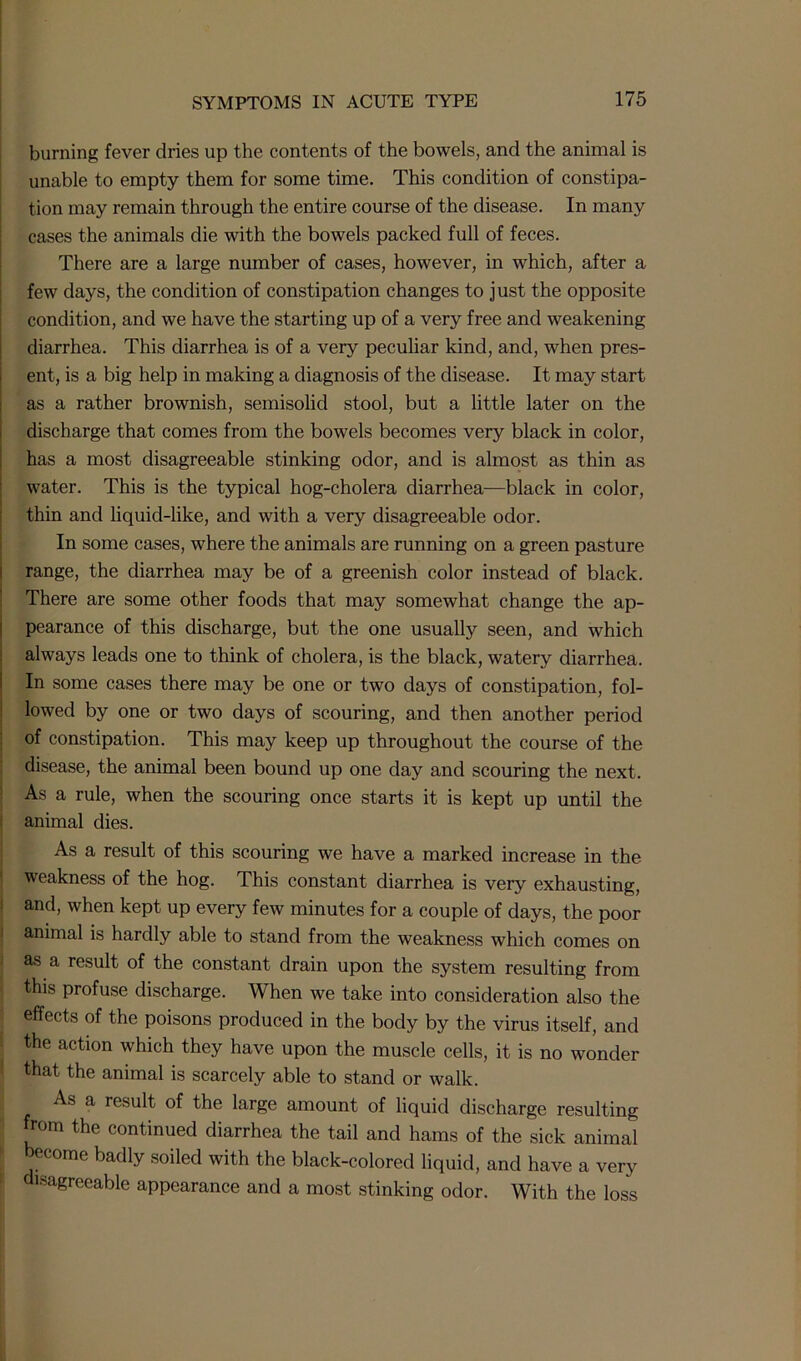 burning fever dries up the contents of the bowels, and the animal is unable to empty them for some time. This condition of constipa- tion may remain through the entire course of the disease. In many cases the animals die with the bowels packed full of feces. There are a large number of cases, however, in which, after a few days, the condition of constipation changes to just the opposite condition, and we have the starting up of a very free and weakening diarrhea. This diarrhea is of a very peculiar kind, and, when pres- ent, is a big help in making a diagnosis of the disease. It may start as a rather brownish, semisolid stool, but a little later on the discharge that comes from the bowels becomes very black in color, has a most disagreeable stinking odor, and is almost as thin as water. This is the typical hog-cholera diarrhea—black in color, thin and liquid-like, and with a very disagreeable odor. In some cases, where the animals are running on a green pasture range, the diarrhea may be of a greenish color instead of black. There are some other foods that may somewhat change the ap- pearance of this discharge, but the one usually seen, and which always leads one to think of cholera, is the black, watery diarrhea. In some cases there may be one or two days of constipation, fol- lowed by one or two days of scouring, and then another period of constipation. This may keep up throughout the course of the disease, the animal been bound up one day and scouring the next. As a rule, when the scouring once starts it is kept up until the animal dies. As a result of this scouring we have a marked increase in the weakness of the hog. This constant diarrhea is very exhausting, and, when kept up every few minutes for a couple of days, the poor animal is hardly able to stand from the weakness which comes on as a result of the constant drain upon the system resulting from this profuse discharge. When we take into consideration also the effects of the poisons produced in the body by the virus itself, and the action which they have upon the muscle cells, it is no wonder that the animal is scarcely able to stand or walk. As a result of the large amount of liquid discharge resulting from the continued diarrhea the tail and hams of the sick animal become badly soiled with the black-colored liquid, and have a very isagreeable appearance and a most stinking odor. With the loss