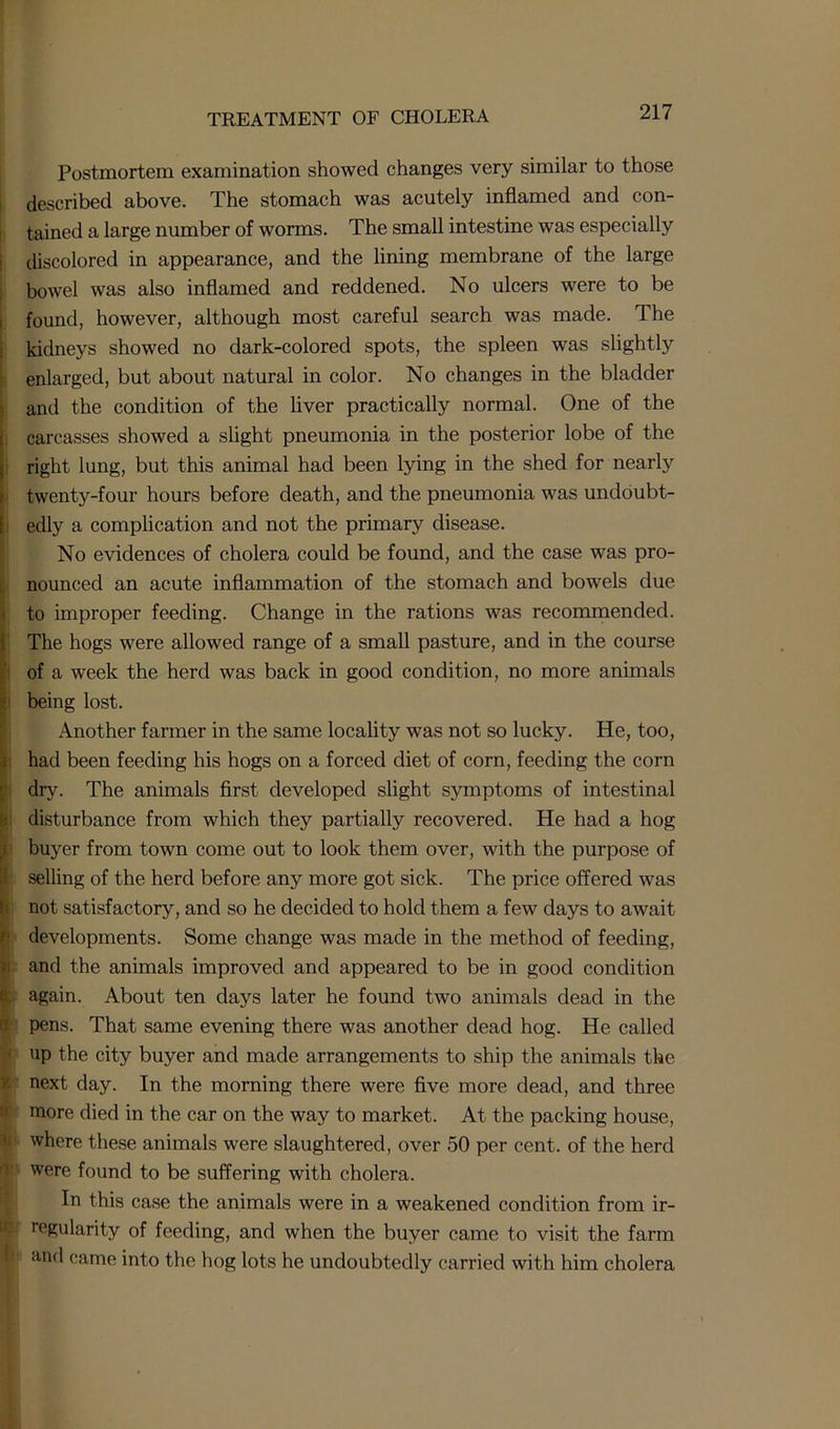 Postmortem examination showed changes very similar to those described above. The stomach was acutely inflamed and con- tained a large number of worms. The small intestine was especially discolored in appearance, and the lining membrane of the large bowel was also inflamed and reddened. No ulcers were to be found, however, although most careful search was made. The kidneys showed no dark-colored spots, the spleen was slightly enlarged, but about natural in color. No changes in the bladder and the condition of the liver practically normal. One of the carcasses showed a slight pneumonia in the posterior lobe of the right lung, but this animal had been lying in the shed for nearly twenty-four hours before death, and the pneumonia was undoubt- edly a complication and not the primary disease. No evidences of cholera could be found, and the case was pro- nounced an acute inflammation of the stomach and bowels due to improper feeding. Change in the rations was recommended. The hogs were allowed range of a small pasture, and in the course of a week the herd was back in good condition, no more animals being lost. Another farmer in the same locality was not so lucky. He, too, had been feeding his hogs on a forced diet of corn, feeding the corn dry. The animals first developed slight symptoms of intestinal disturbance from which they partially recovered. He had a hog [buyer from town come out to look them over, with the purpose of selling of the herd before any more got sick. The price offered was not satisfactory, and so he decided to hold them a few days to await r developments. Some change was made in the method of feeding, i: and the animals improved and appeared to be in good condition y again. About ten days later he found two animals dead in the pens. That same evening there was another dead hog. He called up the city buyer and made arrangements to ship the animals the next day. In the morning there were five more dead, and three more died in the car on the way to market. At the packing house, V where these animals were slaughtered, over 50 per cent, of the herd T were found to be suffering with cholera. In this case the animals were in a weakened condition from ir- regularity of feeding, and when the buyer came to visit the farm 1 and came into the hog lots he undoubtedly carried with him cholera