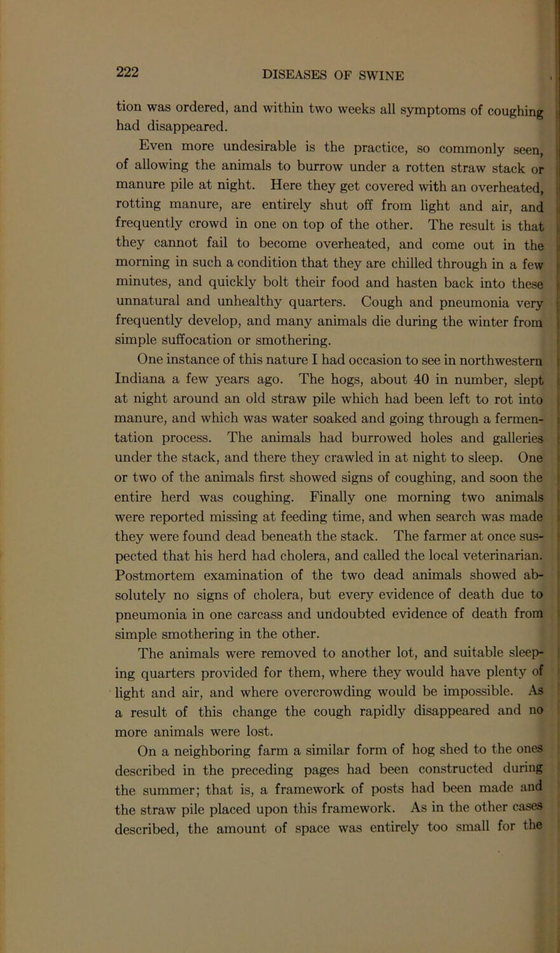 tion was ordered, and within two weeks all symptoms of coughing had disappeared. Even more undesirable is the practice, so commonly seen, of allowing the animals to burrow under a rotten straw stack or manure pile at night. Here they get covered with an overheated, rotting manure, are entirely shut off from light and air, and frequently crowd in one on top of the other. The result is that they cannot fail to become overheated, and come out in the morning in such a condition that they are chilled through in a few minutes, and quickly bolt their food and hasten back into these unnatural and unhealthy quarters. Cough and pneumonia very frequently develop, and many animals die during the winter from simple suffocation or smothering. One instance of this nature I had occasion to see in northwestern Indiana a few years ago. The hogs, about 40 in number, slept at night around an old straw pile which had been left to rot into manure, and which was water soaked and going through a fermen- tation process. The animals had burrowed holes and galleries under the stack, and there they crawled in at night to sleep. One or two of the animals first showed signs of coughing, and soon the entire herd was coughing. Finally one morning two animals were reported missing at feeding time, and when search was made they were found dead beneath the stack. The farmer at once sus- pected that his herd had cholera, and called the local veterinarian. Postmortem examination of the two dead animals showed ab- solutely no signs of cholera, but every evidence of death due to pneumonia in one carcass and undoubted evidence of death from simple smothering in the other. The animals were removed to another lot, and suitable sleep- ing quarters provided for them, where they would have plenty of light and air, and where overcrowding would be impossible. As a result of this change the cough rapidly disappeared and no more animals were lost. On a neighboring farm a similar form of hog shed to the ones described in the preceding pages had been constructed during the summer; that is, a framework of posts had been made and the straw pile placed upon this framework. As in the other cases described, the amount of space was entirely too small for the