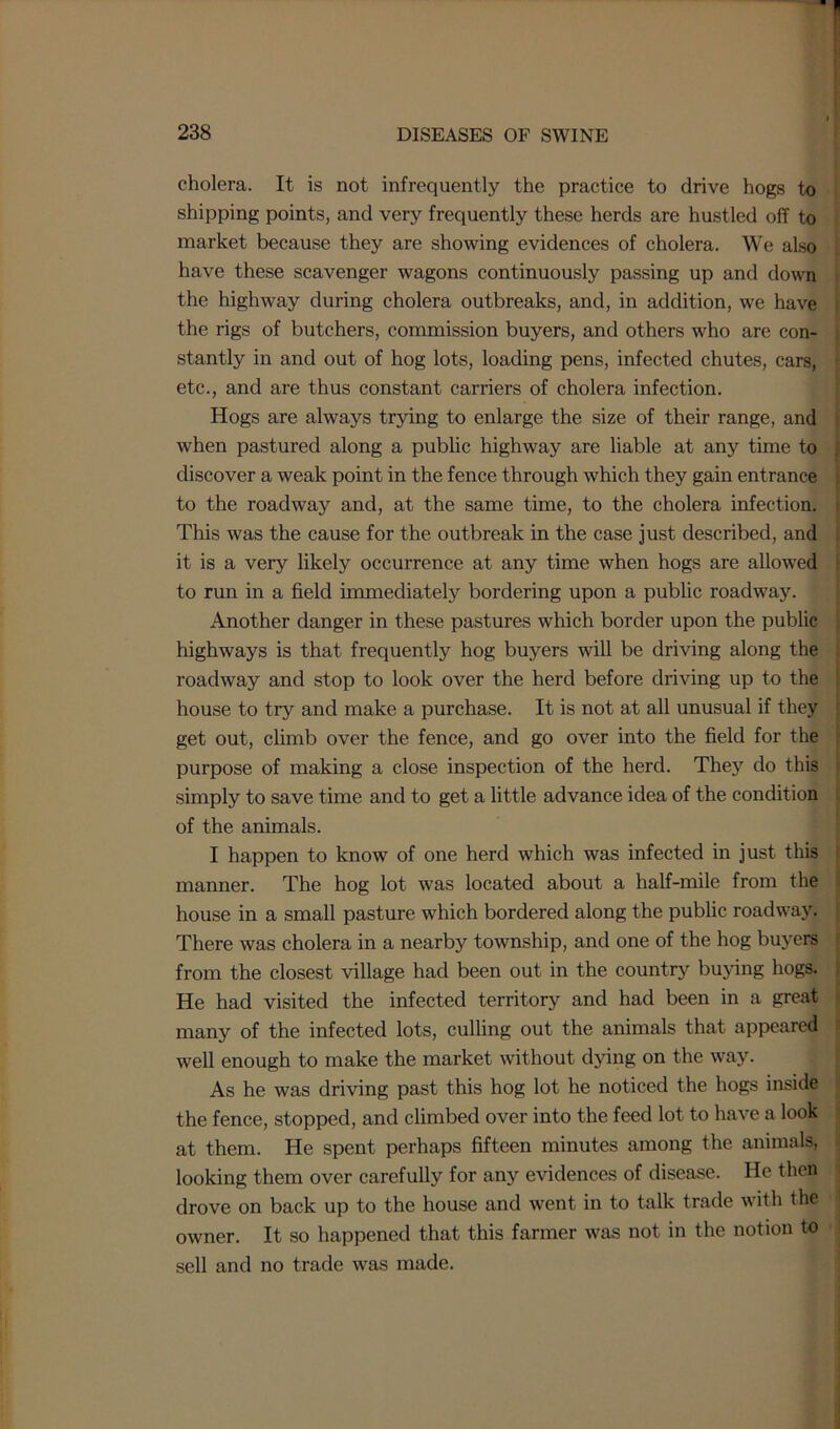 cholera. It is not infrequently the practice to drive hogs to shipping points, and very frequently these herds are hustled off to market because they are showing evidences of cholera. We also have these scavenger wagons continuously passing up and down the highway during cholera outbreaks, and, in addition, we have the rigs of butchers, commission buyers, and others who are con- stantly in and out of hog lots, loading pens, infected chutes, cars, etc., and are thus constant carriers of cholera infection. Hogs are always trying to enlarge the size of their range, and when pastured along a public highway are liable at any time to discover a weak point in the fence through which they gain entrance to the roadway and, at the same time, to the cholera infection. This was the cause for the outbreak in the case just described, and it is a very likely occurrence at any time when hogs are allowed to run in a field immediately bordering upon a public roadway. Another danger in these pastures which border upon the public highways is that frequently hog buyers will be driving along the roadway and stop to look over the herd before driving up to the house to try and make a purchase. It is not at all unusual if they get out, climb over the fence, and go over into the field for the purpose of making a close inspection of the herd. They do this simply to save time and to get a little advance idea of the condition of the animals. I happen to know of one herd which was infected in just this manner. The hog lot was located about a half-mile from the house in a small pasture which bordered along the public roadway. There was cholera in a nearby township, and one of the hog buyers from the closest village had been out in the country buying hogs. He had visited the infected territory and had been in a great many of the infected lots, culling out the animals that appeared well enough to make the market without dying on the way. As he was driving past this hog lot he noticed the hogs inside the fence, stopped, and climbed over into the feed lot to have a look at them. He spent perhaps fifteen minutes among the animals, looking them over carefully for any evidences of disease. He then drove on back up to the house and went in to talk trade with the owner. It so happened that this farmer was not in the notion to sell and no trade was made.