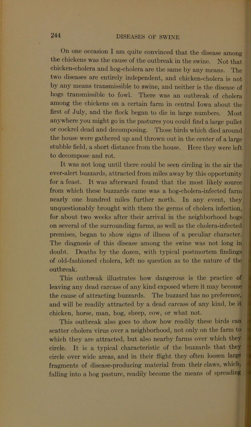 On one occasion I am quite convinced that the disease among the chickens was the cause of the outbreak in the swine. Not that chicken-cholera and hog-cholera are the same by any means. The two diseases are entirely independent, and chicken-cholera is not by any means transmissible to swine, and neither is the disease of hogs transmissible to fowl. There was an outbreak of cholera among the chickens on a certain farm in central Iowa about the first of July, and the flock began to die in large numbers. Most anywhere you might go in the pastures you could find a large pullet or cockrel dead and decomposing. Those birds which died around the house were gathered up and thrown out in the center of a large stubble field, a short distance from the house. Here they were left to decompose and rot. It was not long until there could be seen circling in the air the ever-alert buzzards, attracted from miles away by this opportunity for a feast. It was afterward found that the most likely source from which these buzzards came was a hog-cholera-infected farm nearly one hundred miles further north. In any event, they unquestionably brought with them the germs of cholera infection, for about two weeks after their arrival in the neighborhood hogs on several of the surrounding farms, as well as the cholera-infected premises, began to show signs of illness of a peculiar character. The diagnosis of this disease among the swine was not long in doubt. Deaths by the dozen, with typical postmortem findings of old-fashioned cholera, left no question as to the nature of the outbreak. This outbreak illustrates how dangerous is the practice of leaving any dead carcass of any kind exposed where it may become the cause of attracting buzzards. The buzzard has no preference, and will be readily attracted by a dead carcass of any kind, be it chicken, horse, man, hog, sheep, cow, or what not. This outbreak also goes to show how readily these birds can scatter cholera virus over a neighborhood, not only on the farm to which they are attracted, but also nearby farms over which they circle. It is a typical characteristic of the buzzards that they circle over wide areas, and in their flight they often loosen large fragments of disease-producing material from their claws, which, falling into a hog pasture, readily become the means of spreading