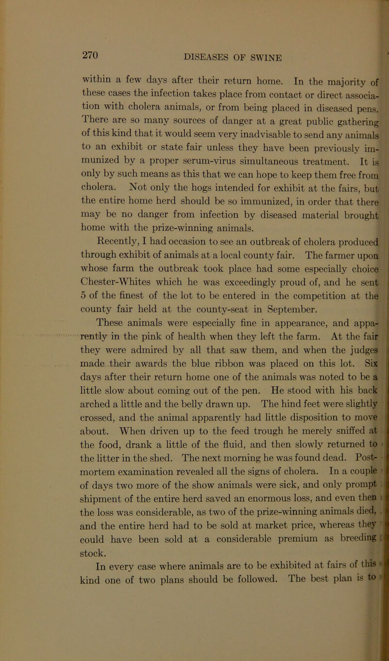 within a few days after their return home. In the majority of these cases the infection takes place from contact or direct associa- tion with cholera animals, or from being placed in diseased pens. There are so many sources of danger at a great public gathering of this kind that it would seem very inadvisable to send any animals to an exhibit or state fair unless they have been previously im- munized by a proper serum-virus simultaneous treatment. It is only by such means as this that we can hope to keep them free from cholera. Not only the hogs intended for exhibit at the fairs, but the entire home herd should be so immunized, in order that there may be no danger from infection by diseased material brought home with the prize-winning animals. Recently, I had occasion to see an outbreak of cholera produced through exhibit of animals at a local county fair. The farmer upon whose farm the outbreak took place had some especially choice Chester-Whites which he was exceedingly proud of, and he sent 5 of the finest of the lot to be entered in the competition at the county fair held at the county-seat in September. These animals were especially fine in appearance, and appa- rently in the pink of health when they left the farm. At the fair they were admired by all that saw them, and when the judges made their awards the blue ribbon was placed on this lot. Six days after their return home one of the animals was noted to be a little slow about coming out of the pen. He stood with his back arched a little and the belly drawn up. The hind feet were slightly crossed, and the animal apparently had little disposition to move about. When driven up to the feed trough he merely sniffed at the food, drank a little of the fluid, and then slowly returned to the litter in the shed. The next morning he was found dead. Post-- ; mortem examination revealed all the signs of cholera. In a couple of days two more of the show animals were sick, and only prompt shipment of the entire herd saved an enormous loss, and even then the loss was considerable, as two of the prize-winning animals died, and the entire herd had to be sold at market price, whereas they could have been sold at a considerable premium as breeding: stock. In every case where animals are to be exhibited at fairs of this • kind one of two plans should be followed. The best plan is to 1