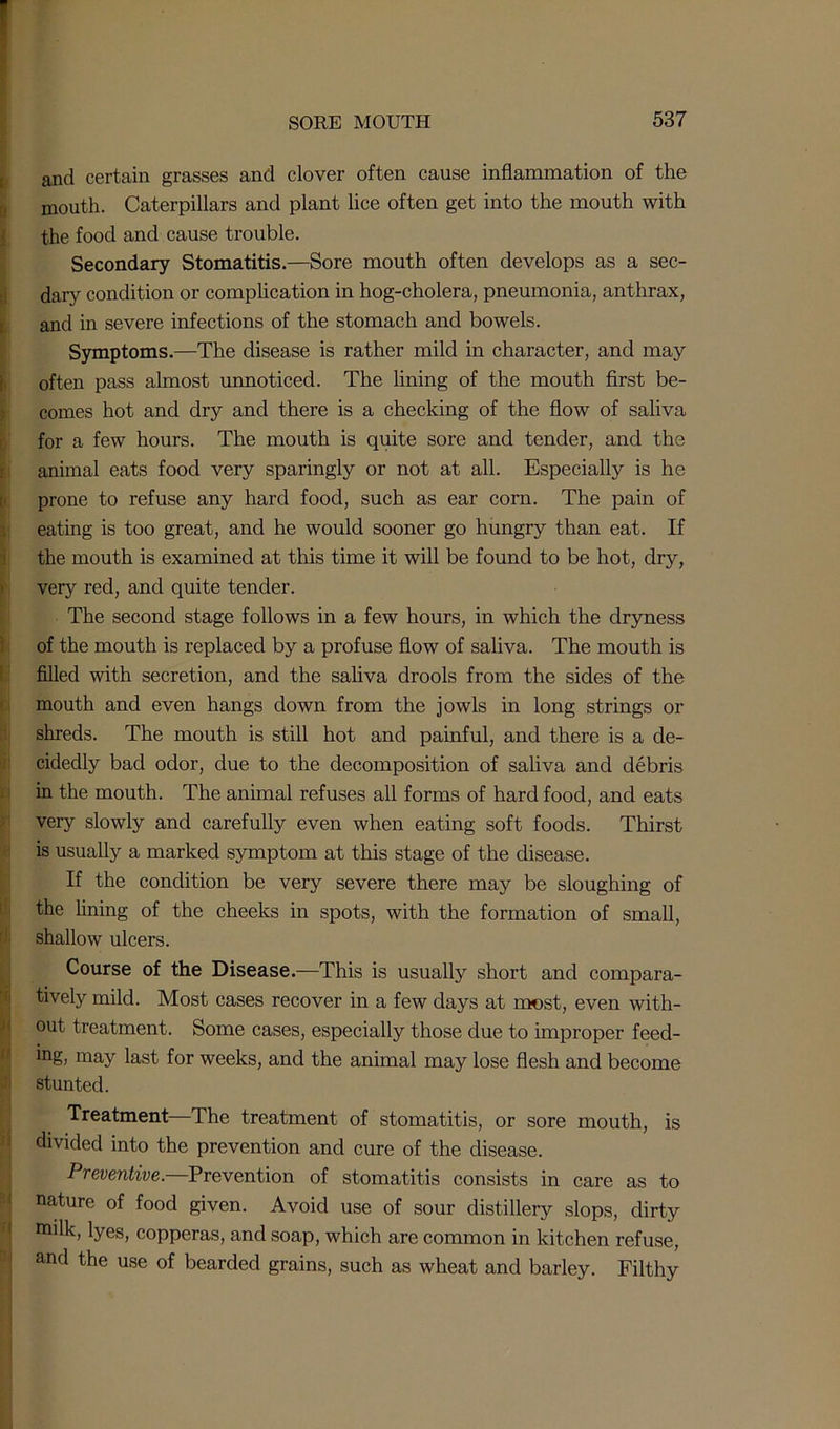 and certain grasses and clover often cause inflammation of the mouth. Caterpillars and plant lice often get into the mouth with the food and cause trouble. Secondary Stomatitis.—Sore mouth often develops as a sec- dary condition or complication in hog-cholera, pneumonia, anthrax, and in severe infections of the stomach and bowels. Symptoms.—The disease is rather mild in character, and may often pass almost unnoticed. The lining of the mouth first be- comes hot and dry and there is a checking of the flow of saliva for a few hours. The mouth is quite sore and tender, and the animal eats food very sparingly or not at all. Especially is he prone to refuse any hard food, such as ear corn. The pain of eating is too great, and he would sooner go hungry than eat. If the mouth is examined at this time it will be found to be hot, dry, very red, and quite tender. The second stage follows in a few hours, in which the dryness of the mouth is replaced by a profuse flow of saliva. The mouth is filled with secretion, and the saliva drools from the sides of the mouth and even hangs down from the jowls in long strings or shreds. The mouth is still hot and painful, and there is a de- cidedly bad odor, due to the decomposition of saliva and debris in the mouth. The animal refuses all forms of hard food, and eats very slowly and carefully even when eating soft foods. Thirst is usually a marked symptom at this stage of the disease. If the condition be very severe there may be sloughing of the lining of the cheeks in spots, with the formation of small, shallow ulcers. Course of the Disease.—This is usually short and compara- tively mild. Most cases recover in a few days at most, even with- out treatment. Some cases, especially those due to improper feed- ing, may last for weeks, and the animal may lose flesh and become stunted. Treatment—The treatment of stomatitis, or sore mouth, is divided into the prevention and cure of the disease. Preventive. Prevention of stomatitis consists in care as to nature of food given. Avoid use of sour distillery slops, dirty milk, lyes, copperas, and soap, which are common in kitchen refuse, and the use of bearded grains, such as wheat and barley. Filthy