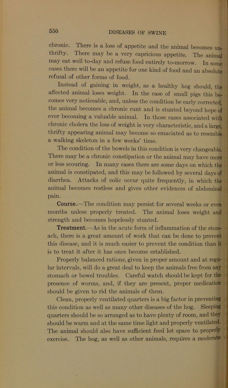 chronic. There is a loss of appetite and the animal becomes un- thrifty. There may be a very capricious appetite. The animal may eat well to-day and refuse food entirely to-morrow. In some cases there will be an appetite for one kind of food and an absolute refusal of other forms of food. Instead of gaining in weight, as a healthy hog should, the affected animal loses weight. In the case of small pigs this be- comes very noticeable, and, unless the condition be early corrected, the animal becomes a chronic runt and is stunted beyond hope of ever becoming a valuable animal. In those cases associated with chronic cholera the loss of weight is very characteristic, and a large, thrifty appearing animal may become so emaciated as to resemble a walking skeleton in a few weeks’ time. The condition of the bowels in this condition is very changeable. There may be a chronic constipation or the animal may have more or less scouring. In many cases there are some days on which the animal is constipated, and this may be followed by several days of diarrhea. Attacks of colic occur quite frequently, in which the animal becomes restless and gives other evidences of abdominal pain. Course.—The condition may persist for several weeks or even months unless properly treated. The animal loses weight and strength and becomes hopelessly stunted. Treatment.—As in the acute form of inflammation of the stom- ach, there is a great amount of work that can be done to prevent this disease, and it is much easier to prevent the condition than it is to treat it after it has once become established. Properly balanced rations, given in proper amount and at regu- lar intervals, will do a great deal to keep the animals free from any stomach or bowel troubles. Careful watch should be kept for the presence of worms, and, if they are present, proper medication should be given to rid the animals of them. Clean, properly ventilated quarters is a big factor in preventing this condition as well as many other diseases of the hog. Sleeping quarters should be so arranged as to have plenty of room, and they should be warm and at the same time light and properly ventilated. The animal should also have sufficient feed lot space to properly exercise. The hog, as well as other animals, requires a moderate