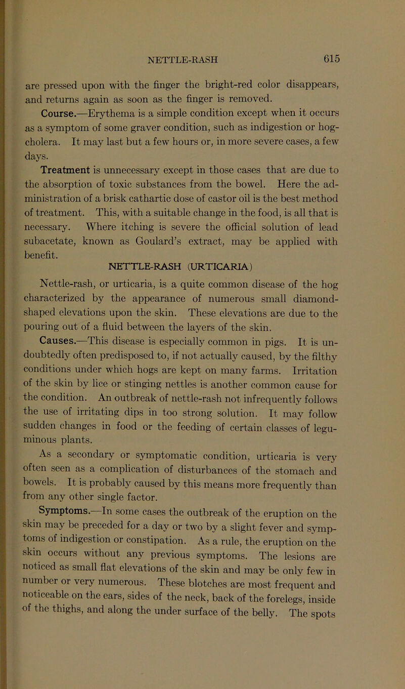 are pressed upon with the finger the bright-red color disappears, and returns again as soon as the finger is removed. Course.—Erythema is a simple condition except when it occurs as a symptom of some graver condition, such as indigestion or hog- cholera. It may last but a few hours or, in more severe cases, a few days. Treatment is unnecessary except in those cases that are due to the absorption of toxic substances from the bowel. Here the ad- ministration of a brisk cathartic dose of castor oil is the best method of treatment. This, with a suitable change in the food, is all that is necessary. Where itching is severe the official solution of lead subacetate, known as Goulard’s extract, may be applied with benefit. NETTLE-RASH (URTICARIA) Nettle-rash, or urticaria, is a quite common disease of the hog characterized by the appearance of numerous small diamond- shaped elevations upon the skin. These elevations are due to the pouring out of a fluid between the layers of the skin. Causes.—This disease is especially common in pigs. It is un- doubtedly often predisposed to, if not actually caused, by the filthy conditions under which hogs are kept on many farms. Irritation of the skin by lice or stinging nettles is another common cause for the condition. An outbreak of nettle-rash not infrequently follows the use of irritating dips in too strong solution. It may follow sudden changes in food or the feeding of certain classes of legu- minous plants. As a secondary or symptomatic condition, urticaria is very often seen as a complication of disturbances of the stomach and bowels. It is probably caused by this means more frequently than from any other single factor. Symptoms.—In some cases the outbreak of the eruption on the skin may be preceded for a day or two by a slight fever and symp- toms of indigestion or constipation. As a rule, the eruption on the skin occurs without any previous symptoms. The lesions are noticed as small flat elevations of the skin and may be only few in number or very numerous. These blotches are most frequent and noticeable on the ears, sides of the neck, back of the forelegs, inside of the thighs, and along the under surface of the belly. The spots