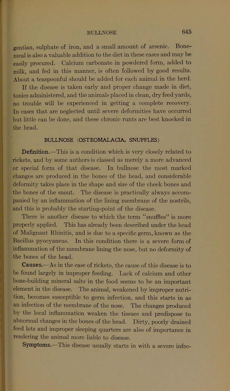 gentian, sulphate of iron, and a small amount of arsenic. Bone- meal is also a valuable addition to the diet in these cases and may be easily procured. Calcium carbonate in powdered form, added to milk, and fed in this manner, is often followed by good results. About a teaspoonful should be added for each animal in the herd. If the disease is taken early and proper change made in diet, tonics administered, and the animals placed in clean, dry feed yards, no trouble will be experienced in getting a complete recovery. In cases that are neglected until severe deformities have occurred but little can be done, and these chronic runts are best knocked in the head. BULLNOSE (OSTEOMALACIA, SNUFFLES) Definition.—This is a condition which is very closely related to rickets, and by some authors is classed as merely a more advanced or special form of that disease. In bullnose the most marked changes are produced in the bones of the head, and considerable deformity takes place in the shape and size of the cheek bones and the bones of the snout. The disease is practically always accom- panied by an inflammation of the lining membrane of the nostrils, and this is probably the starting-point of the disease. There is another disease to which the term “snuffles” is more properly applied. This has already been described under the head of Malignant Rhinitis, and is due to a specific germ, known as the Bacillus pyocyaneus. In this condition there is a severe form of inflammation of the membrane lining the nose, but no deformity of the bones of the head. Causes.—As in the case of rickets, the cause of this disease is to be found largely in improper feeding. Lack of calcium and other bone-building mineral salts in the food seems to be an important element in the disease. The animal, weakened by improper nutri- tion, becomes susceptible to germ infection, and this starts in as an infection of the membrane of the nose. The changes produced by the local inflammation weaken the tissues and predispose to abnormal changes in the bones of the head. Dirty, poorly drained feed lots and improper sleeping quarters are also of importance in rendering the animal more liable to disease. Symptoms.—This disease usually starts in with a severe infec-