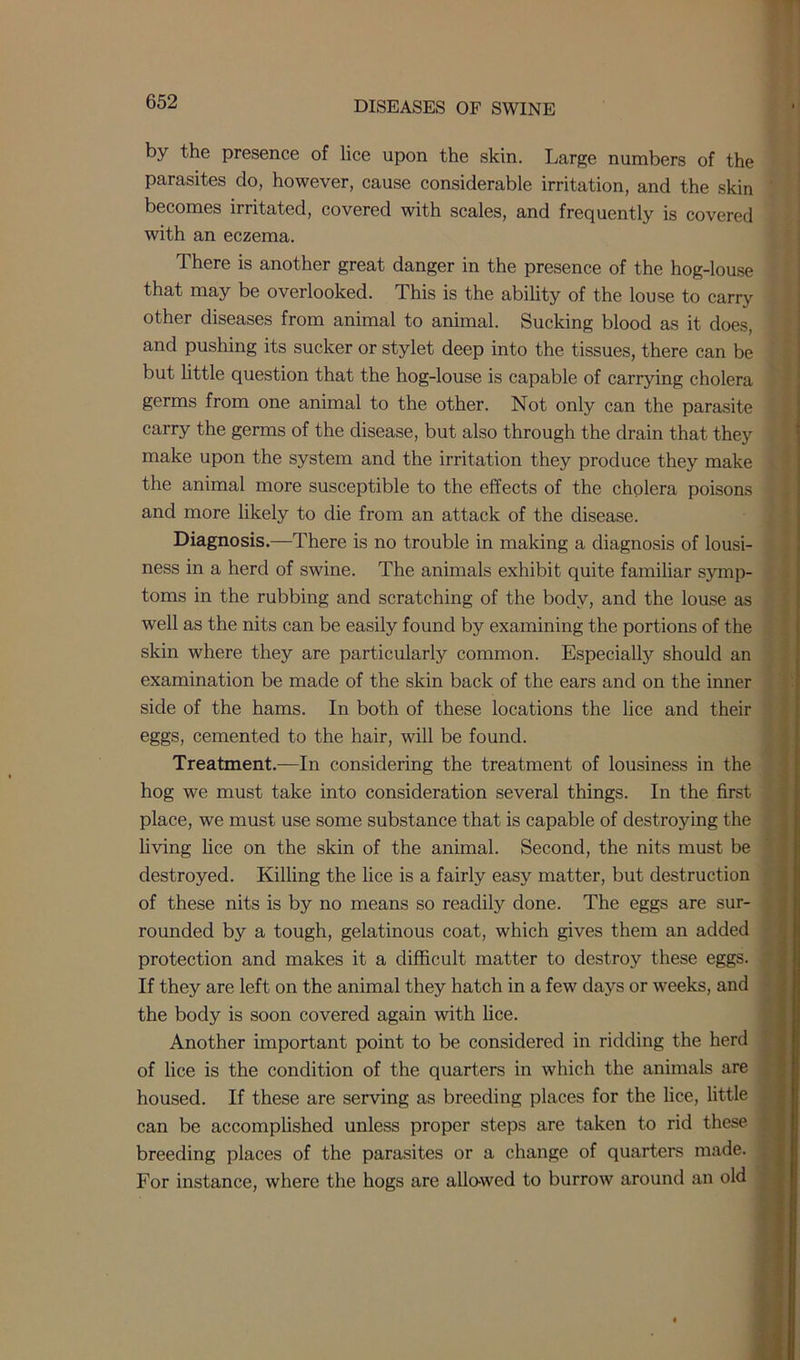 by the presence of lice upon the skin. Large numbers of the parasites do, however, cause considerable irritation, and the skin becomes irritated, covered with scales, and frequently is covered with an eczema. There is another great danger in the presence of the hog-louse that may be overlooked. This is the ability of the louse to carry other diseases from animal to animal. Sucking blood as it does, and pushing its sucker or stylet deep into the tissues, there can be but little question that the hog-louse is capable of carrying cholera germs from one animal to the other. Not only can the parasite carry the germs of the disease, but also through the drain that they make upon the system and the irritation they produce they make the animal more susceptible to the effects of the cholera poisons and more likely to die from an attack of the disease. Diagnosis.—There is no trouble in making a diagnosis of lousi- ness in a herd of swine. The animals exhibit quite familiar symp- toms in the rubbing and scratching of the body, and the louse as well as the nits can be easily found by examining the portions of the skin where they are particularly common. Especialty should an examination be made of the skin back of the ears and on the inner side of the hams. In both of these locations the lice and their eggs, cemented to the hair, will be found. Treatment.—In considering the treatment of lousiness in the hog we must take into consideration several things. In the first place, we must use some substance that is capable of destroying the living lice on the skin of the animal. Second, the nits must be destroyed. Killing the lice is a fairly easy matter, but destruction of these nits is by no means so readily done. The eggs are sur- rounded by a tough, gelatinous coat, which gives them an added protection and makes it a difficult matter to destroy these eggs. If they are left on the animal they hatch in a few days or weeks, and the body is soon covered again with lice. Another important point to be considered in ridding the herd of lice is the condition of the quarters in which the animals are housed. If these are serving as breeding places for the lice, little can be accomplished unless proper steps are taken to rid these breeding places of the parasites or a change of quarters made. For instance, where the hogs are allowed to burrow around an old