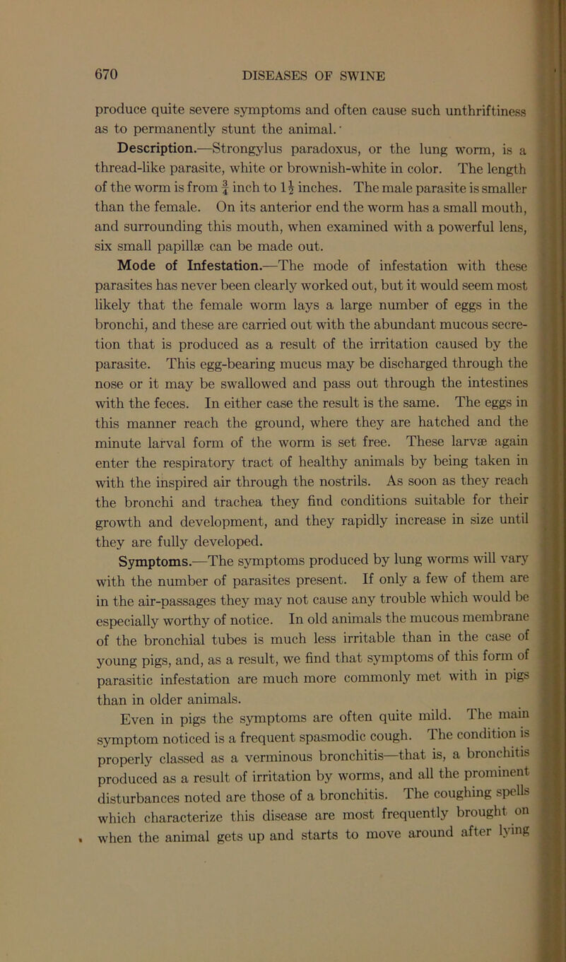 produce quite severe symptoms and often cause such unthriftiness as to permanently stunt the animal.' Description.—Strongylus paradoxus, or the lung worm, is a thread-like parasite, white or brownish-white in color. The length of the worm is from § inch to 1^ inches. The male parasite is smaller than the female. On its anterior end the worm has a small mouth, and surrounding this mouth, when examined with a powerful lens, six small papillse can be made out. Mode of Infestation.—The mode of infestation with these parasites has never been clearly worked out, but it would seem most likely that the female worm lays a large number of eggs in the bronchi, and these are carried out with the abundant mucous secre- tion that is produced as a result of the irritation caused by the parasite. This egg-bearing mucus may be discharged through the nose or it may be swallowed and pass out through the intestines with the feces. In either case the result is the same. The eggs in this manner reach the ground, where they are hatched and the minute larval form of the worm is set free. These larvae again enter the respiratory tract of healthy animals by being taken in with the inspired air through the nostrils. As soon as they reach the bronchi and trachea they find conditions suitable for their growth and development, and they rapidly increase in size until they are fully developed. Symptoms.—The symptoms produced by lung worms will vary with the number of parasites present. If only a few of them are in the air-passages they may not cause any trouble which would be especially worthy of notice. In old animals the mucous membrane of the bronchial tubes is much less irritable than in the case of young pigs, and, as a result, we find that symptoms of this form of parasitic infestation are much more commonly met with in pigs than in older animals. Even in pigs the symptoms are often quite mild. The main j symptom noticed is a frequent spasmodic cough. The condition is properly classed as a verminous bronchitis—that is, a bronchitis produced as a result of irritation by worms, and all the prominent disturbances noted are those of a bronchitis. The coughing spells ; which characterize this disease are most frequently brought on . when the animal gets up and starts to move around after h ing