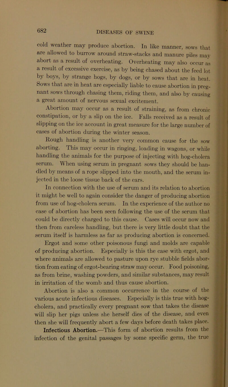 cold weather may produce abortion. In like manner, sows that are allowed to burrow around straw-stacks and manure piles may abort as a result of overheating. Overheating may also occur as a result of excessive exercise, as by being chased about the feed lot by boys, by strange hogs, by dogs, or by sows that are in heat, bows that are in heat are especially liable to cause abortion in preg- nant sows through chasing them, riding them, and also by causing a great amount of nervous sexual excitement. Abortion may occur as a result of straining, as from chronic constipation, or by a slip on the ice. Falls received as a result of slipping on the ice account in great measure for the large number of cases of abortion during the winter season. Rough handling is another very common cause for the sow aborting. This may occur in ringing, loading in wagons, or while handling the animals for the purpose of injecting with hog-cholera serum. When using serum in pregnant sows they should be han- dled by means of a rope slipped into the mouth, and the serum in- jected in the loose tissue back of the ears. In connection with the use of serum and its relation to abortion it might be well to again consider the danger of producing abortion from use of hog-cholera serum. In the experience of the author no case of abortion has been seen following the use of the serum that could be directly charged to this cause. Cases will occur now and then from careless handling, but there is very little doubt that the serum itself is harmless as far as producing abortion is concerned. Ergot and some other poisonous fungi and molds are capable of producing abortion. Especially is this the case with ergot, and where animals are allowed to pasture upon rye stubble fields abor- tion from eating of ergot-bearing straw may occur. Food poisoning, as from brine, washing powders, and similar substances, may result in irritation of the womb and thus cause abortion. Abortion is also a common occurrence in the course of the various acute infectious diseases. Especially is this true with hog- cholera, and practically every pregnant sow that takes the disease will slip her pigs unless she herself dies of the disease, and even then she will frequently abort a few days before death takes place. Infectious Abortion.—This form of abortion results from the infection of the genital passages by some specific germ, the true