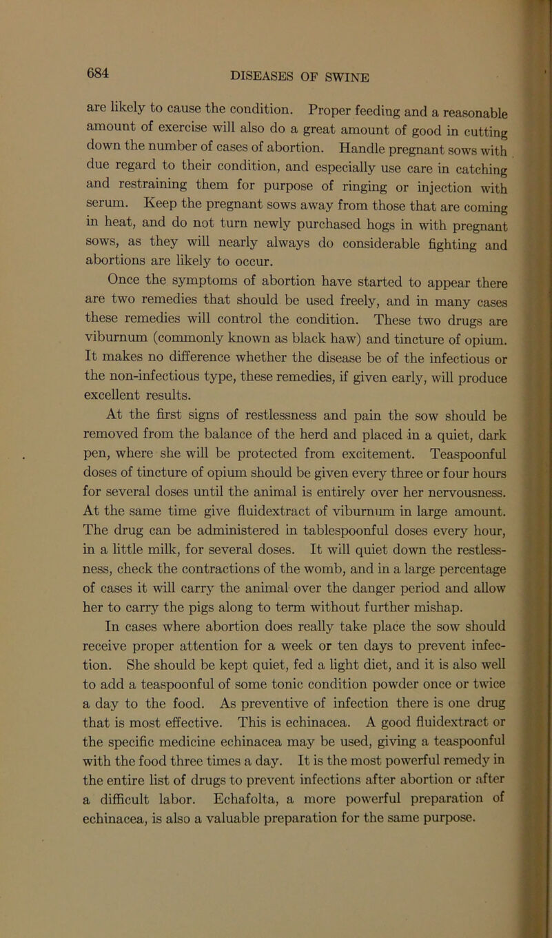 are likely to cause the condition. Proper feeding and a reasonable amount of exercise will also do a great amount of good in cutting down the number of cases of abortion. Handle pregnant sows with due regard to their condition, and especially use care in catching and restraining them for purpose of ringing or injection with serum. Keep the pregnant sows away from those that are coming in heat, and do not turn newly purchased hogs in with pregnant sows, as they will nearly always do considerable fighting and abortions are likely to occur. Once the symptoms of abortion have started to appear there are two remedies that should be used freely, and in many cases these remedies will control the condition. These two drugs are viburnum (commonly known as black haw) and tincture of opium. It makes no difference whether the disease be of the infectious or the non-infectious type, these remedies, if given early, will produce excellent results. At the first signs of restlessness and pain the sow should be removed from the balance of the herd and placed in a quiet, dark pen, where she will be protected from excitement. Teaspoonful doses of tincture of opium should be given every three or four hours for several doses until the animal is entirely over her nervousness. At the same time give fluidextract of viburnum in large amount. The drug can be administered in tablespoonful doses every hour, in a little milk, for several doses. It will quiet down the restless- ness, check the contractions of the womb, and in a large percentage of cases it will carry the animal over the danger period and allow her to carry the pigs along to term without further mishap. In cases where abortion does realty take place the sow should receive proper attention for a week or ten days to prevent infec- tion. She should be kept quiet, fed a light diet, and it is also well to add a teaspoonful of some tonic condition powder once or twice a day to the food. As preventive of infection there is one drug that is most effective. This is echinacea. A good fluidextract or the specific medicine echinacea may be used, giving a teaspoonful with the food three times a day. It is the most powerful remedy in the entire list of drugs to prevent infections after abortion or after a difficult labor. Echafolta, a more powerful preparation of echinacea, is also a valuable preparation for the same purpose.