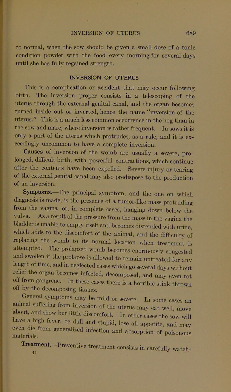 to normal, when the sow should be given a small dose of a tonic condition powder with the food every morning for several days until she has fully regained strength. INVERSION OF UTERUS This is a complication or accident that may occur following birth. The inversion proper consists in a telescoping of the uterus through the external genital canal, and the organ becomes turned inside out or inverted, hence the name “inversion of the uterus.” This is a much less common occurrence in the hog than in the cow and mare, where inversion is rather frequent. In sows it is only a part of the uterus which protrudes, as a rule, and it is ex- ceedingly uncommon to have a complete inversion. Causes of inversion of the womb are usually a severe, pro- longed, difficult birth, with powerful contractions, which continue after the contents have been expelled. Severe injury or tearing of the external genital canal may also predispose to the production of an inversion. Symptoms. The principal symptom, and the one on which diagnosis is made, is the presence of a tumor-like mass protruding from the vagina or, in complete cases, hanging down below the vulva. As a result of the pressure from the mass in the vagina the bladder is unable to empty itself and becomes distended with urine, which adds to the discomfort of the animal, and the difficulty of replacing the womb to its normal location when treatment is attempted. The prolapsed womb becomes enormously congested and swollen if the prolapse is allowed to remain untreated for any length of tune, and in neglected cases which go several days without relief the organ becomes infected, decomposed, and may even rot 0 ,r°m San8'rene. In these cases there is a horrible stink thrown off by the decomposing tissues. General symptoms may be mild or severe. In some cases an animal suffering from inversion of the uterus may eat well, move about, and show but little discomfort. In other cases the sow will have a high fever, be dull and stupid, lose all appetite, and may maTcrial, generaHzed infection and absorption of poisonous Treatment. Preventive treatment consists in carefully watch-