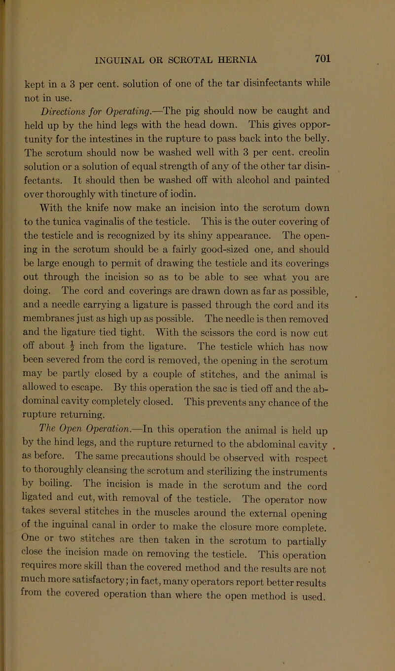 kept in a 3 per cent, solution of one of the tar disinfectants while not in use. Directions for Operating.—The pig should now be caught and held up by the hind legs with the head down. This gives oppor- tunity for the intestines in the rupture to pass back into the belly. The scrotum should now be washed well with 3 per cent, creolin solution or a solution of equal strength of any of the other tar disin- fectants. It should then be washed off with alcohol and painted over thoroughly with tincture of iodin. With the knife now make an incision into the scrotum down to the tunica vaginalis of the testicle. This is the outer covering of the testicle and is recognized by its shiny appearance. The open- ing in the scrotum should be a fairly good-sized one, and should be large enough to permit of drawing the testicle and its coverings out through the incision so as to be able to see what you are doing. The cord and coverings are drawn down as far as possible, and a needle carrying a ligature is passed through the cord and its membranes just as high up as possible. The needle is then removed and the ligature tied tight. With the scissors the cord is now cut off about i inch from the ligature. The testicle which has now been severed from the cord is removed, the opening in the scrotum may be partly closed by a couple of stitches, and the animal is allowed to escape. By this operation the sac is tied off and the ab- dominal cavity completely closed. This prevents any chance of the rupture returning. The Open Operation.—In this operation the animal is held up by the hind legs, and the rupture returned to the abdominal cavity , as before. The same precautions should be observed with respect to thoroughly cleansing the scrotum and sterilizing the instruments by boiling. The incision is made in the scrotum and the cord ligated and cut, with removal of the testicle. The operator now takes several stitches in the muscles around the external opening of the inguinal canal in order to make the closure more complete. One or two stitches are then taken in the scrotum to partially close the incision made on removing the testicle. This operation requires more skill than the covered method and the results are not much more satisfactory; in fact, many operators report better results from the covered operation than where the open method is used.