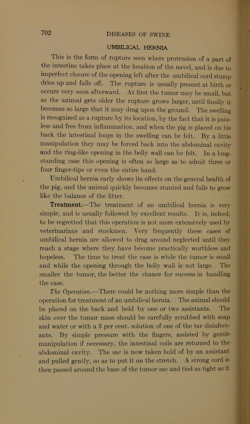 UMBILICAL HERNIA This is the form of rupture seen where protrusion of a part of the intestine takes place at the location of the navel, and is due to imperfect closure of the opening left after the umbilical cord stump dries up and falls off. The rupture is usually present at birth or occurs very soon afterward. At first the tumor may be small, but as the animal gets older the rupture grows larger, until finally it becomes so large that it may drag upon the ground. The swelling is recognized as a rupture by its location, by the fact that it is pain- less and free from inflammation, and when the pig is placed on his back the intestinal loops in the swelling can be felt. By a little manipulation they may be forced back into the abdominal cavity and the ring-like opening in the belly wall can be felt. In a long- standing case this opening is often so large as to admit three or four finger-tips or even the entire hand. Umbilical hernia early shows its effects on the general health of the pig, and the animal quickly becomes stunted and fails to grow like the balance of the litter. Treatment.—The treatment of an umbilical hernia is very simple, and is usually followed by excellent results. It is, indeed, to be regretted that this operation is not more extensively used by veterinarians and stockmen. Very frequently these cases of umbilical hernia are allowed to drag around neglected until they reach a stage where they have become practically worthless and hopeless. The time to treat the case is while the tumor is small and while the opening through the belly wall is not large. The smaller the tumor, the better the chance for success in handling the case. The Operation.—There could be nothing more simple than the operation for treatment of an umbilical hernia. The animal should be placed on the back and held by one or two assistants. The skin over the tumor mass should be carefully scrubbed with soap and water or with a 3 per cent, solution of one of the tar disinfect- ants. By simple pressure with the fingers, assisted by gentle manipulation if necessary, the intestinal coils are returned to the abdominal cavity. The sac is now taken hold of by an assistant and pulled gently, so as to put it on the stretch. A strong cord is then passed around the base of the tumor sac and tied as tight as it