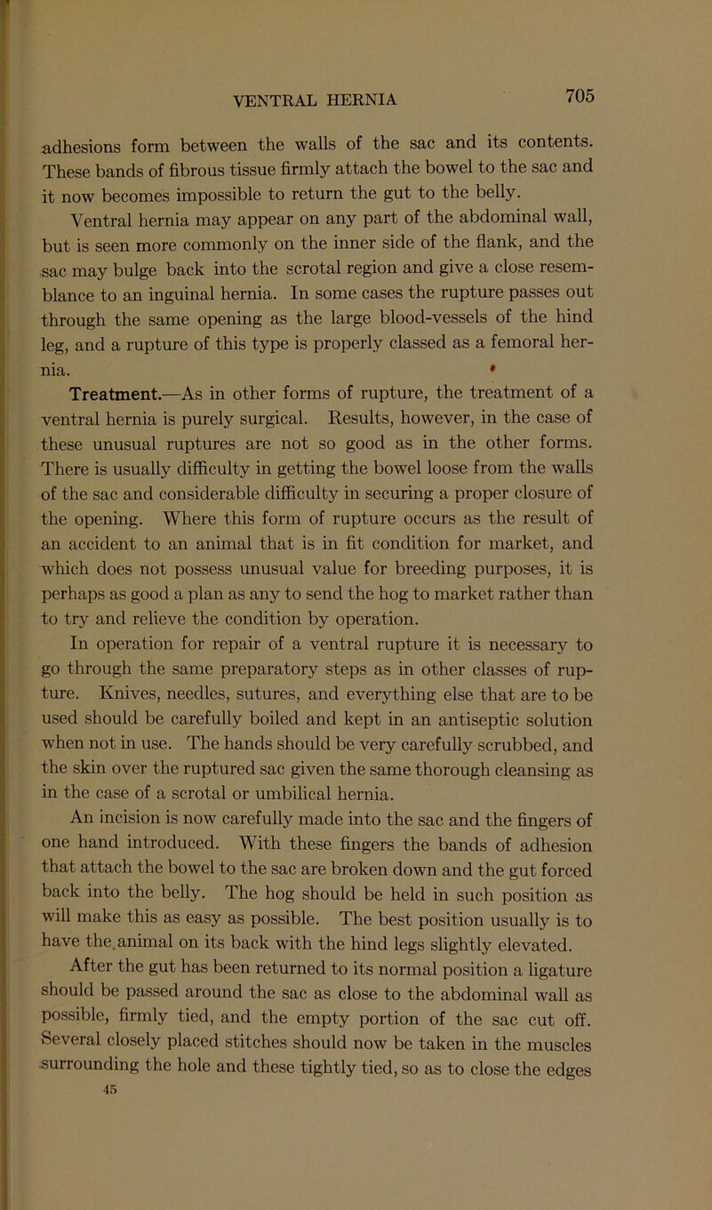 adhesions form between the walls of the sac and its contents. These bands of fibrous tissue firmly attach the bowel to the sac and it now becomes impossible to return the gut to the belly. Ventral hernia may appear on any part of the abdominal wall, but is seen more commonly on the inner side of the flank, and the sac may bulge back into the scrotal region and give a close resem- blance to an inguinal hernia. In some cases the rupture passes out through the same opening as the large blood-vessels of the hind leg, and a rupture of this type is properly classed as a femoral her- nia. * Treatment.—As in other forms of rupture, the treatment of a ventral hernia is purely surgical. Results, however, in the case of these unusual ruptures are not so good as in the other forms. There is usually difficulty in getting the bowel loose from the walls of the sac and considerable difficulty in securing a proper closure of the opening. Where this form of rupture occurs as the result of an accident to an animal that is in fit condition for market, and which does not possess unusual value for breeding purposes, it is perhaps as good a plan as any to send the hog to market rather than to try and relieve the condition by operation. In operation for repair of a ventral rupture it is necessary to go through the same preparatory steps as in other classes of rup- ture. Knives, needles, sutures, and everything else that are to be used should be carefully boiled and kept in an antiseptic solution when not in use. The hands should be very carefully scrubbed, and the skin over the ruptured sac given the same thorough cleansing as in the case of a scrotal or umbilical hernia. An incision is now carefully made into the sac and the fingers of one hand introduced. With these fingers the bands of adhesion that attach the bowel to the sac are broken down and the gut forced back into the belly. The hog should be held in such position as will make this as easy as possible. The best position usually is to have the, animal on its back with the hind legs slightly elevated. After the gut has been returned to its normal position a ligature should be passed around the sac as close to the abdominal wall as possible, firmly tied, and the empty portion of the sac cut off. Several closely placed stitches should now be taken in the muscles .surrounding the hole and these tightly tied, so as to close the edges 45