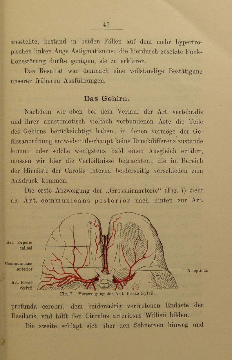 ausstellte, bestand in beiden Fällen aut' dem mehr hypertro- pisclien linken Auge Astigmatismus; die hierdurch gesetzte Funk- tionsstörung dürfte genügen, sie zu erklären. Das Resultat war demnach eine vollständige Bestätigung unserer früheren Ausführungen. Das Gehirn. Nachdem wir oben bei dem Verlauf der Art. vertebralis und ihrer anastomotisch vielfach verbundenen Äste die Teile des Gehirns berücksichtigt haben, in denen vermöge der Ge- fässanordnung entweder überhaupt keine Druckdifferenz zustande kommt oder solche wenigstens bald einen Ausgleich erfährt, müssen wir hier die Verhältnisse betrachten, die im Bereich der Hirnäste der Carotis interna beiderseitig verschieden zum Ausdruck kommen. Die erste Abzweigung der „Grosshirnarterie“ (Fig. 7) zieht als Art. communicans posterior nach hinten zur Art. profunda cerebri, dem beiderseitig vertretenen Endaste der Basilaris, und hilft den Circulus arteriosus Willisii bilden. Die zweite schlägt sich über den Sehnerven hinweg und