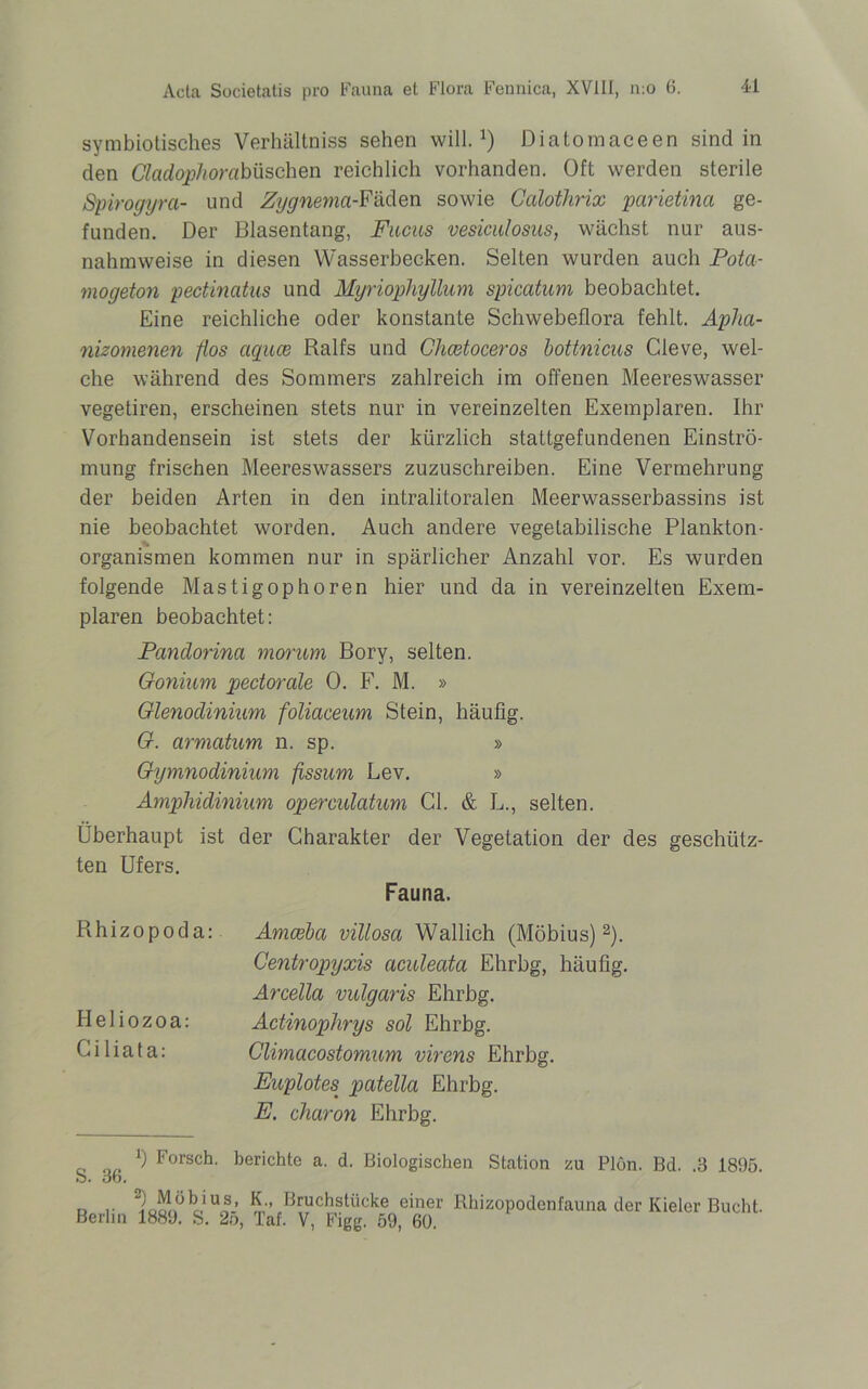 symbiotisches Verhältnis sehen will.1) Diatomaceen sind in den CI adophor abüschen reichlich vorhanden. Oft werden sterile Spirogyrct- und Zygnemci-Fäden sowie Calothrix parietina ge- funden. Der Blasentang, Fuchs vesiculosus, wächst nur aus- nahmsweise in diesen Wasserbecken. Selten wurden auch Pota- mogeton pectinatus und Myriophyllum spicatum beobachtet. Eine reichliche oder konstante Schwebeflora fehlt. Apha- nizomenen fios aquce Ralfs und Chcetoceros bottnicus Cleve, wel- che während des Sommers zahlreich im offenen Meereswasser vegetiren, erscheinen stets nur in vereinzelten Exemplaren. Ihr Vorhandensein ist stets der kürzlich stattgefundenen Einströ- mung frischen Meereswassers zuzuschreiben. Eine Vermehrung der beiden Arten in den intralitoralen Meerwasserbassins ist nie beobachtet worden. Auch andere vegetabilische Plankton- organismen kommen nur in spärlicher Anzahl vor. Es wurden folgende Mastigophören hier und da in vereinzelten Exem- plaren beobachtet: Pandorina morum Bory, selten. Gonium pectorale 0. F. M. » Glenodinium foliaceum Stein, häufig. G. armatum n. sp. » Gymnodinium fissum Lev. » Amphidinium operculatum CI. & L., selten. Überhaupt ist der Charakter der Vegetation der des geschütz- ten Ufers. Fauna. Rhizopoda: Amcebci villosa Wallich (Möbius)2). Centropyxis aculeata Ehrbg, häufig. Arcella vulgaris Ehrbg. Heliozoa: Actinophrys sol Ehrbg. Ciliata: Climacostomum vircns Ehrbg. Euplotes patella Ehrbg. E. charon Ehrbg. _ „„ *) Forsch, berichte a. d. Biologischen Station zu Plön. Bd. .3 1895. b. ob. .. l^bius, K Bruchstücke einer Rhizopodenfauna der Kieler Bucht. Berlin 1889. S. 2o, Tat. V, Figg. 59, 60.