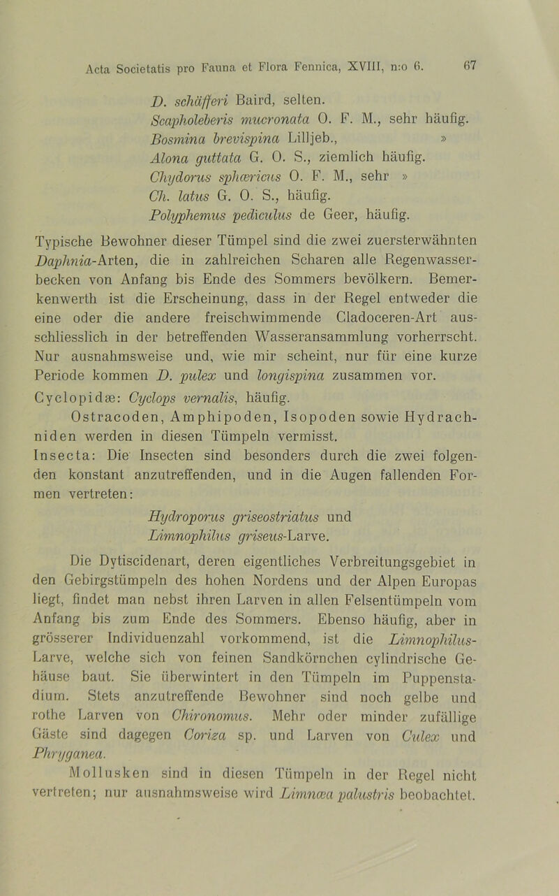 D. scliäfferi Baird, selten. Scapholebens mucronata 0. F. M., sehr häufig. Bosmina brevispina Lilljeb., » Alona guttata G. 0. S., ziemlich häufig. Chydorus sphcericus 0. F. M., sehr » Ch. latus G. 0. S., häufig. Polyphemus pediculus de Geer, häufig. Typische Bewohner dieser Tümpel sind die zwei zuersterwähnten Daphnia-Arten, die in zahlreichen Scharen alle Regenwasser- becken von Anfang bis Ende des Sommers bevölkern. Bemer- kenwerth ist die Erscheinung, dass in der Regel entweder die eine oder die andere freischwimmende Cladoceren-Art aus- schliesslich in der betreffenden Wasseransammlung vorherrscht. Nur ausnahmsweise und, wie mir scheint, nur für eine kurze Periode kommen D. pulex und longispina zusammen vor. Cyclopidse: Cyclops vernalis, häufig. Ostracoden, Amphipoden, Isopoden sowie Hydrach- niden werden in diesen Tümpeln vermisst. Insecta: Die Insecten sind besonders durch die zwei folgen- den konstant anzutreffenden, und in die Augen fallenden For- men vertreten: Hydroporus griseostriatus und Limnophilus griseus-Larve. Die Dytiscidenart, deren eigentliches Verbreitungsgebiet in den Gebirgsttimpeln des hohen Nordens und der Alpen Europas liegt, findet man nebst ihren Larven in allen Felsentümpeln vom Anfang bis zum Ende des Sommers. Ebenso häufig, aber in grösserer Individuenzahl vorkommend, ist die Limnophilus- Larve, welche sich von feinen Sandkörnchen cylindrische Ge- häuse baut. Sie überwintert in den Tümpeln im Puppensta- dium. Stets anzutreffende Bewohner sind noch gelbe und rothe Larven von Chironomus. Mehr oder minder zufällige Gäste sind dagegen Coriza sp. und Larven von Culex und Phryganea. Mollusken sind in diesen Tümpeln in der Regel nicht vertreten; nur ausnahmsweise wird Limnaea palustris beobachtet.