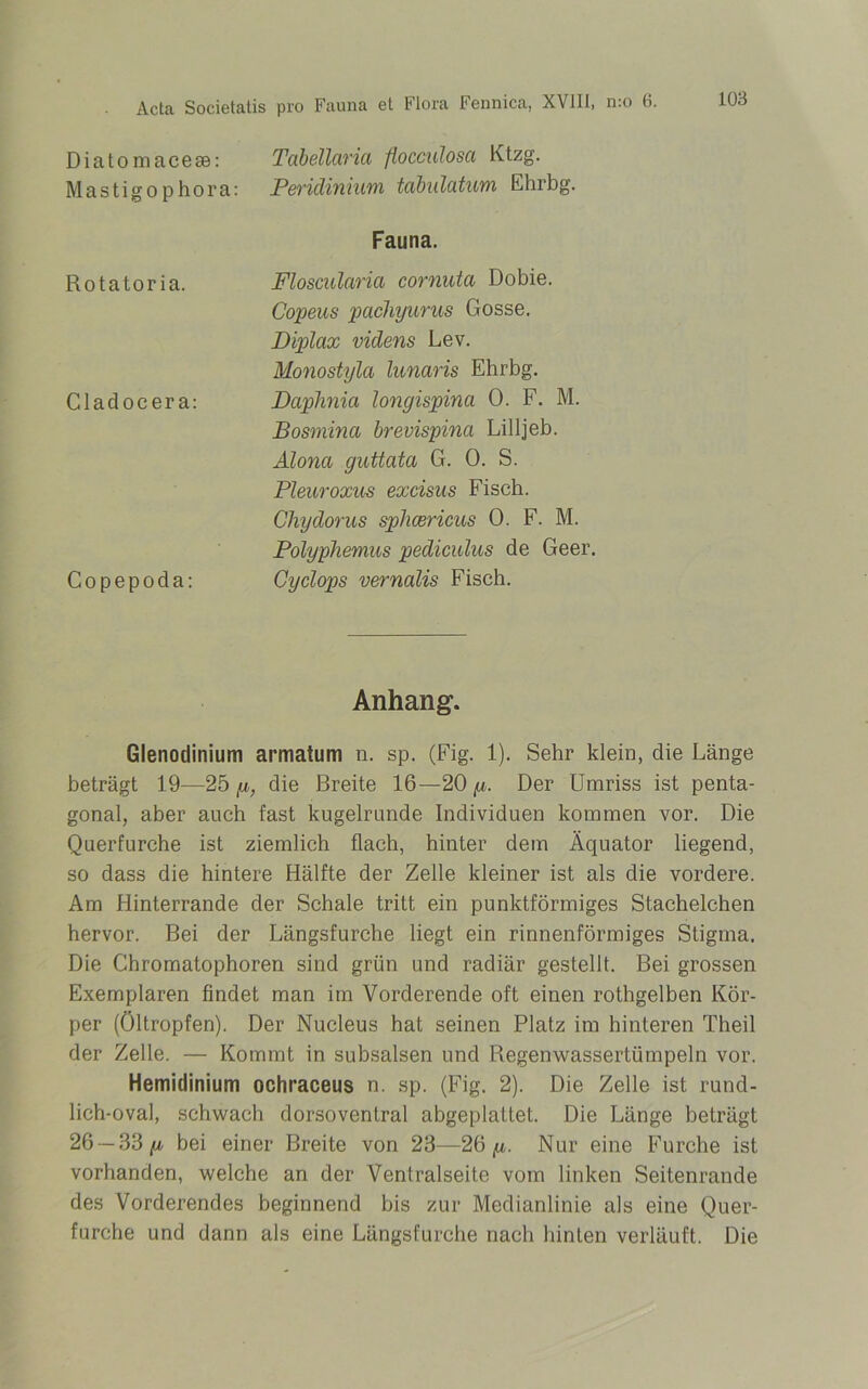 Fauna et Flora Fennica, XVIII, n:o 6. Diatomacese: Tabellctrict fiocculosa Ktzg. Mastigophora: Peridinium, tabulatwm Ehrbg. Fauna. Flosciilaria cornuta Dobie. Copeus pcichyurus Gosse. Diplax videns Lev. Monostyla lunaris Ehrbg. Daphnia longispina 0. F. M. Bosmina brevispina Lilljeb. Alona guttata G. 0. S. Pleuroxus excisus Fisch. Chydorus sphcericus 0. F. M. Polyphemus pediculus de Geer. Cyclops vernalis Fisch. Anhang. Glenodinium armatum n. sp. (Fig. 1). Sehr klein, die Länge beträgt 19—25 p, die Breite 16—20/i. Der Umriss ist penta- gonal, aber auch fast kugelrunde Individuen kommen vor. Die Querfurche ist ziemlich flach, hinter dem Äquator liegend, so dass die hintere Hälfte der Zelle kleiner ist als die vordere. Am Hinterrande der Schale tritt ein punktförmiges Stachelchen hervor. Bei der Längsfurche liegt ein rinnenförmiges Stigma. Die Chromatophoren sind grün und radiär gestellt. Bei grossen Exemplaren findet man im Vorderende oft einen rothgelben Kör- per (Öltropfen). Der Nucleus hat seinen Platz im hinteren Theil der Zelle. — Kommt in subsalsen und Regenwassertümpeln vor. Hemidinium ochraceus n. sp. (Fig. 2). Die Zelle ist rund- lich-oval, schwach dorsoventral abgeplattet. Die Länge beträgt 26 —33/a bei einer Breite von 23—26 p. Nur eine Furche ist vorhanden, welche an der Ventralseite vom linken Seitenrande des Vorderendes beginnend bis zur Medianlinie als eine Quer- furche und dann als eine Längsfurche nach hinten verläuft. Die Rotatoria. Cladocer a: Copepoda: