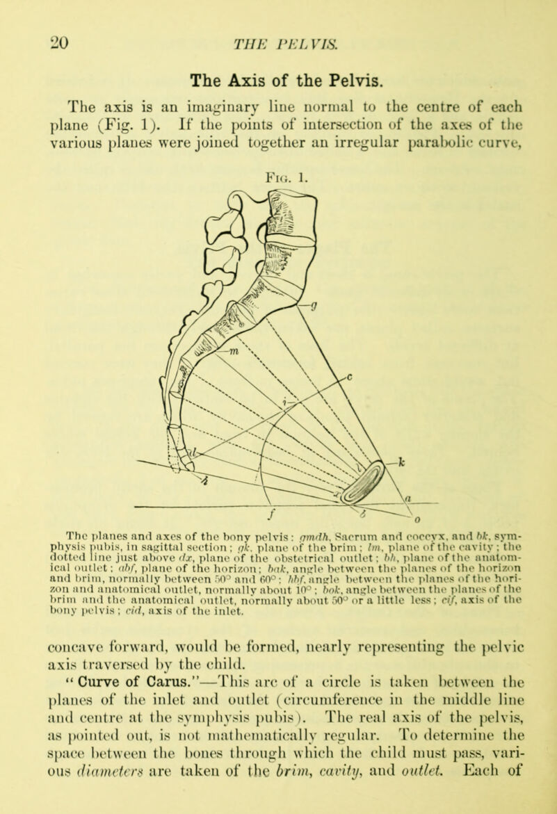 The Axis of the Pelvis. The axis is an imaginary line normal to the centre of each plane (Fig. 1). If the points of intersection of the axes of the various planes were joined together an irregular parabolic curve, Fig. 1. The planes and axes of the bony pelvis: frmdh, Sacrum and coccyx, and bk, sym- physis pubis, in sagittal section: pk. plane of the brim : Im, plane of the cavity ; the dotted line just above dx, plane (if the obstetrical outlet: bh, plane of the anatom- ical outlet; abf, plane of the horizon; bnk, angle between the planes of the horizon and brim, normally between 50° and 60°; fihf. angle between the planes of the hori- zon and anatomical outlet, normally about i0° : bnk, angle between the planes of the brim and the anatomical outlet, normally about 50° or a little less; r/Y, axis of the bony pelvis ; rid, axis of the inlet. concave forward, would be formed, nearly representing the pelvic axis traversed by the child. “ Curve of Cams.”—This arc of a circle is taken between the planes of the inlet and outlet (circumference in the middle line and centre at the symphysis pubis). The real axis of the pelvis, as pointed out, is not mathematically regular. To determine the space between the bones through which the child must pass, vari- ous diameters are taken of the brim, cavity, and outlet. Each of