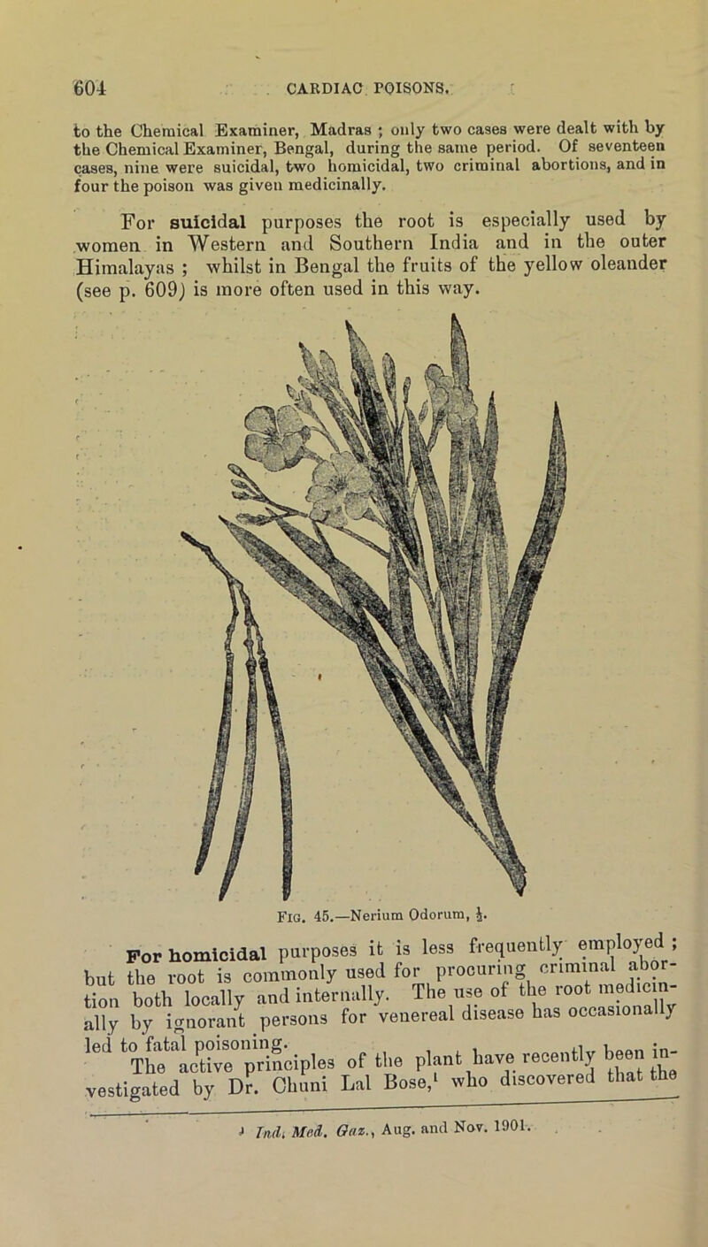 to the Chemical Examiner, Madras ; only two cases were dealt with by the Chemical Examiner, Bengal, during the same period. Of seventeen cases, nine were suicidal, two homicidal, two criminal abortions, and in four the poison was given medicinally. For suicidal purposes the root is especially used by women in Western and Southern India and in the outer Himalayas ; whilst in Bengal the fruits of the yellow oleander (see p. 609) is more often used in this way. Fig. 45.—Nerium Odorum, J. For homicidal purposes it is less frequently ’ but the root is commonly used for procuring criminal abor- tion both locally and internally. The use of the ‘‘oo* ally by ignorant persons for venereal disease has occasional y led to fatal poi^^^ of the ^^rauL vestigated by Dr. Chuni Lai Bose,‘ who discovered that the J Tndi Med. Oaz., Aug. and Nov. 1901.