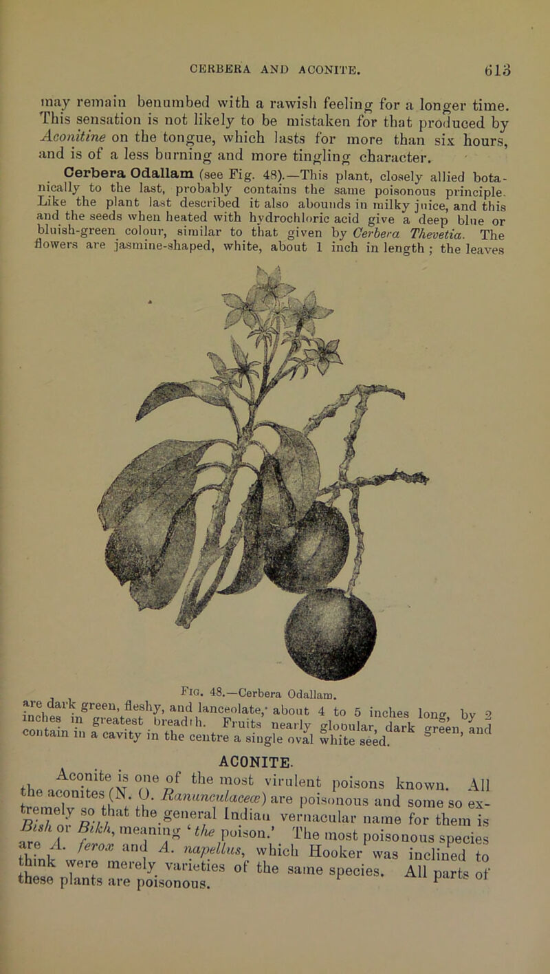 may remain benumbed with a rawisb feeling for a longer time. This sensation is not likely to be mistaken for that produced by Aconitine on the tongue, which lasts for more than six hours, and is of a less burning and more tingling character. Oerbera Odallam (see Fig. 48).—This plant, closely allied bota- nically to the last, probably contains the same poisonous principle. Like the plant last described it also abounds in milky juice, and this and the seeds when heated with hydrochloric acid give a deep blue or bluish-green colour, similar to that given by Gerbera Thevetia. The flowers are jasmine-shaped, white, about 1 inch in length ; the leaves Fig. 48.—Cerbera Odallam. are dark green, fleshy, and lanceolate,-about 4 to 5 inches lon<r bv => inches m greatest breadth. Fruits’ nearly gloDulardark “rf^n and contain in a cavity m the centre a single oval white seed. ’ ACONITE. Aconite IS one of the most virulent poisons known. All the aconite.s (N. O. Ranunculacece) are poisonous and some so ex- Soi^vernacular name for them is A f ' 'i’be most poisonous species thinh^' Hooker was inclined to K plnTs r poi »*■
