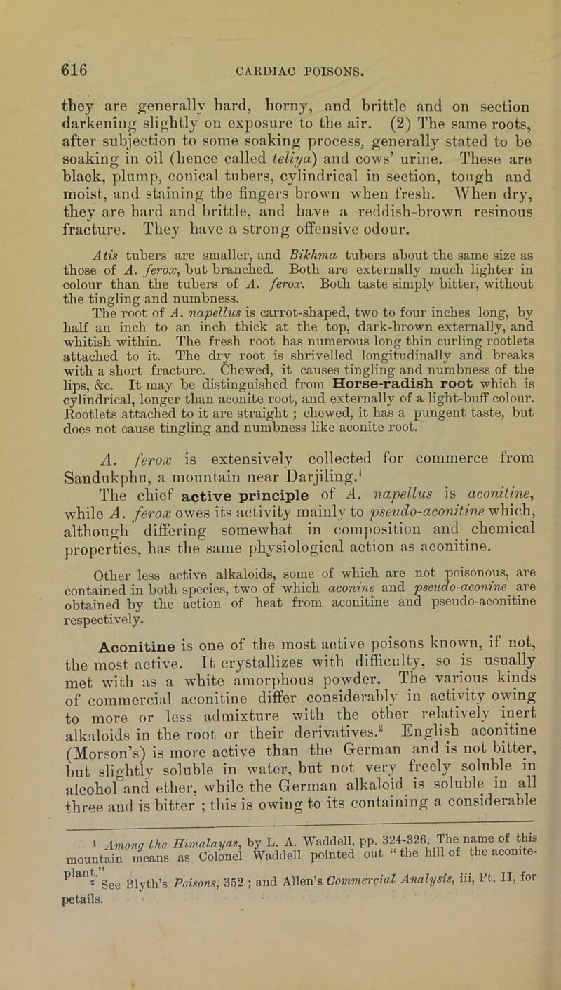 they are generally hard, horny, and brittle and on section darkening slightly on exposure to the air. (2) The same roots, after subjection to some soaking process, generally stated to be soaking in oil (hence called leliya) and cows’ urine. These are black, plump, conical tubers, cylindrical in section, tough and moist, and staining the fingers brown when fresh. When dry, they are hard and brittle, and have a reddish-brown resinous fracture. They have a strong offensive odour. Atis tubers are smaller, and Bilchma tubers about the same size as those of A. ferox, but branched. Both are externally much lighter in colour than the tubers of A. ferox. Both taste simply bitter, without the tingling and numbness. The root of A. napellus is carrot-shaped, two to four inches long, by half an inch to an inch thick at the top, dark-brown externally, and whitish within. The fresh root has numerous long thin curling rootlets attached to it. The dry root is shrivelled longitudinally and breaks with a short fracture. Chewed, it causes tingling and numbness of the lips, &c. It may be distinguished from Horse-radish, root which is cylindrical, longer than aconite root, and externally of a light-buff coloim. Rootlets attached to it are straight; chewed, it has a pungent taste, but does not cause tingling and numbness like aconite root. A. ferox is extensively collected for commerce from Sandukphu, a mountain near Darjiling.* The chief a,ctive principle of A. napellus is aconitine, while A. ferox owes its activity mainly to pseudo-aconitine which, although differing somewhat in composition and chemical properties, has the same physiological action as aconitine. Other less active alkaloids, some of which are not poisonous, are contained in both species, two of which aconine and pseudo-aconine_ are obtained by the action of heat from aconitine and pseudo-aconitine respectively. Aconitine is one of the most active poisons known, if not, the most active. It crystallizes with difficulty, so is usually met with as a white amorphous powder. The various kinds of commercial aconitine differ considerably in activity owing to more or less admixture with the other lelatively inert alkaloids in the root or their derivatives.^ English aconitine (Morson’s) is more active than the German and is not bitter, but slightly soluble in water, but not very freely soluble in alcohol and ether, while the German alkaloid is soluble in all three and is bitter ; this is owing to its containing a considerable > Among the Tlimalayas, by L. A. Waddell, pp. 324-326 .The name of this mountain means as Colonel Waddell pointed out “the lull of the aconite- See Blyth’s Poisons, 362 ; and Allen’s Oommercial Analysis, iii, Pt. II, for petails.