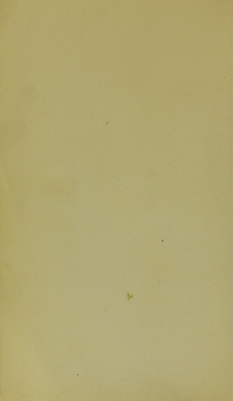 / -C ; * , ■ '' >. \ V. • ■ ♦