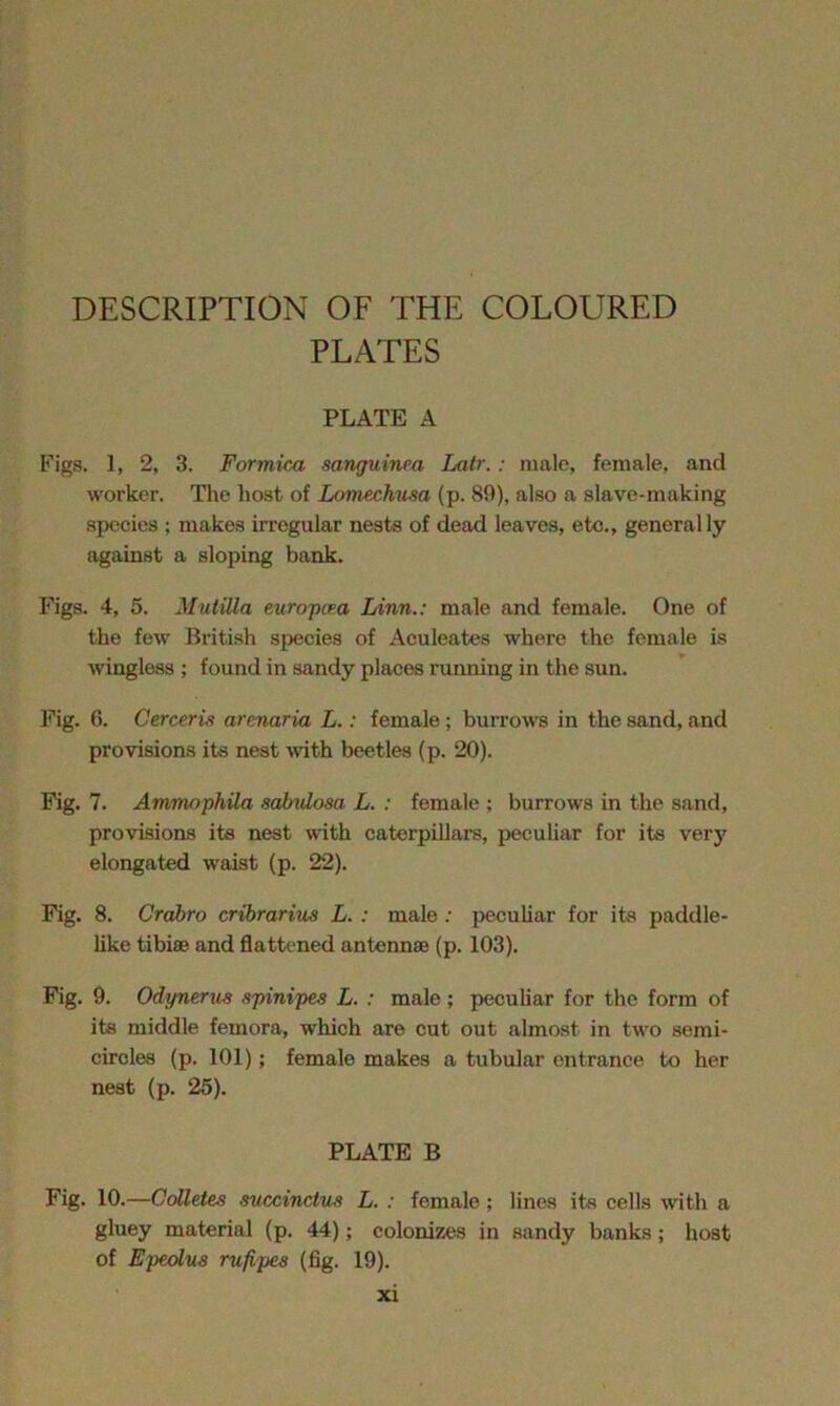 DESCRIPTION OF THE COLOURED PLATES PLATE A Figs. 1, 2, 3. Formica sanguinea Latr.: male, female, and worker. The host of Lomechusa (p. 89), also a slave-making species ; makes irregular nests of dead leaves, etc., generally against a sloping bank. Figs. 4, 5. Mulilla europcea Linn.: male and female. One of the few British species of Aculeates where the female is wingless ; found in sandy places running in the sun. Fig. 6. Cerceris armaria L.: female; burrows in the sand, and provisions its nest with beetles (p. 20). Fig. 7. Ammophila sabidosa L. : female ; burrows in the sand, provisions its nest with caterpillars, peculiar for its very elongated waist (p. 22). Fig. 8. Crabro cribrarius L. : male : peculiar for its paddle- like tibiae and flattened antennae (p. 103). Fig. 9. Odynerus spinipes L. : male ; peculiar for the form of its middle femora, which are cut out almost in two semi- circles (p. 101); female makes a tubular entrance to her nest (p. 25). PLATE B Fig. 10.—Colletes svccinctus L. : female; lines its cells with a gluey material (p. 44); colonizes in sandy banks ; host of Epcolus rufipes (fig. 19).