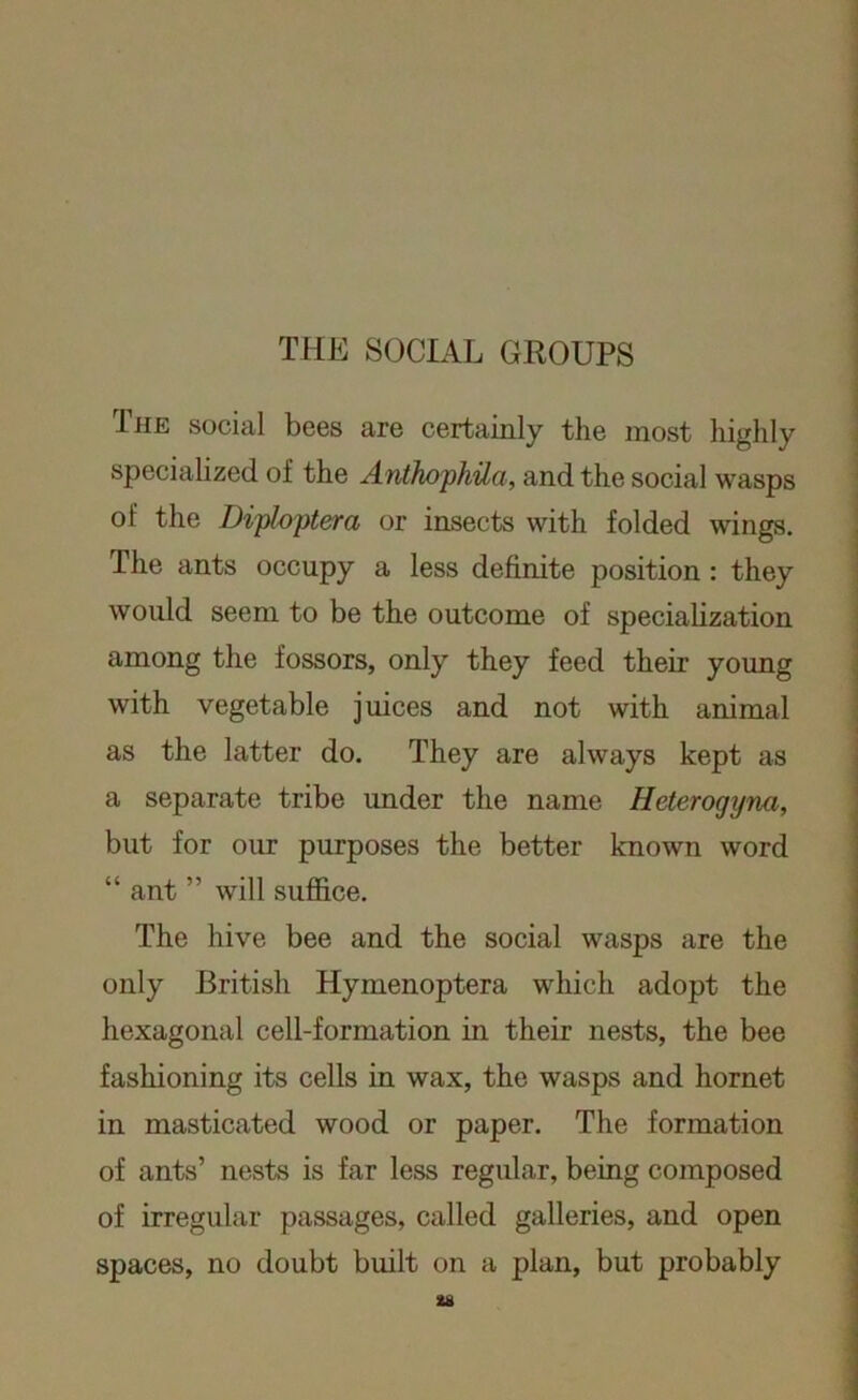 THE SOCIAL GROUPS The social bees are certainly the most highly specialized of the AnthophUa, and the social wasps of the Diploptera or insects with folded wings. The ants occupy a less definite position : they would seem to be the outcome of specialization among the fossors, only they feed their young with vegetable juices and not with animal as the latter do. They are always kept as a separate tribe under the name Heterogyna, but for our purposes the better known word “ ant ” will suffice. The hive bee and the social wasps are the only British Hymenoptera which adopt the hexagonal cell-formation in their nests, the bee fashioning its cells in wax, the wasps and hornet in masticated wood or paper. The formation of ants’ nests is far less regular, being composed of irregular passages, called galleries, and open spaces, no doubt built on a plan, but probably